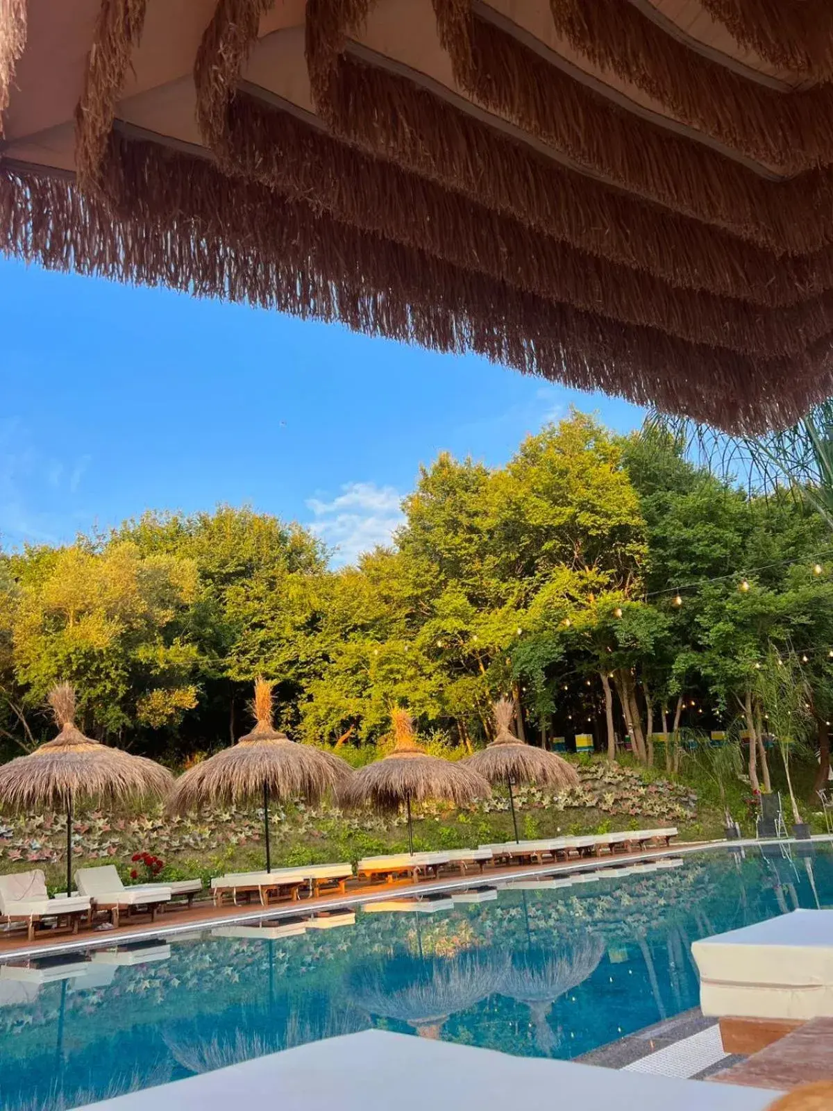 Swimming pool in Padel Olivia's Hill Resort Swimming pool in Padel Olivia's Hill Resort