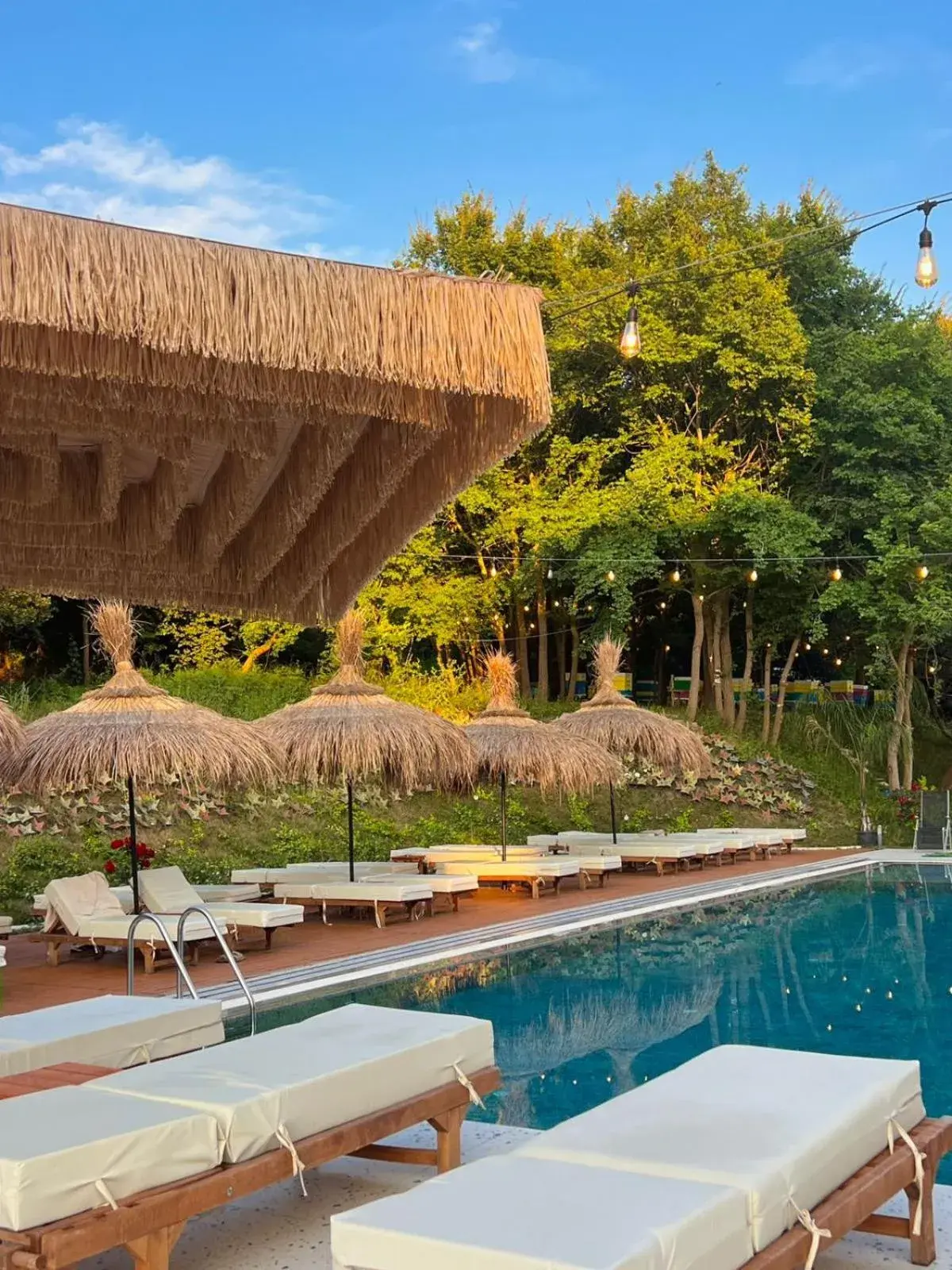 Pool view in Padel Olivia's Hill Resort Pool view in Padel Olivia's Hill Resort