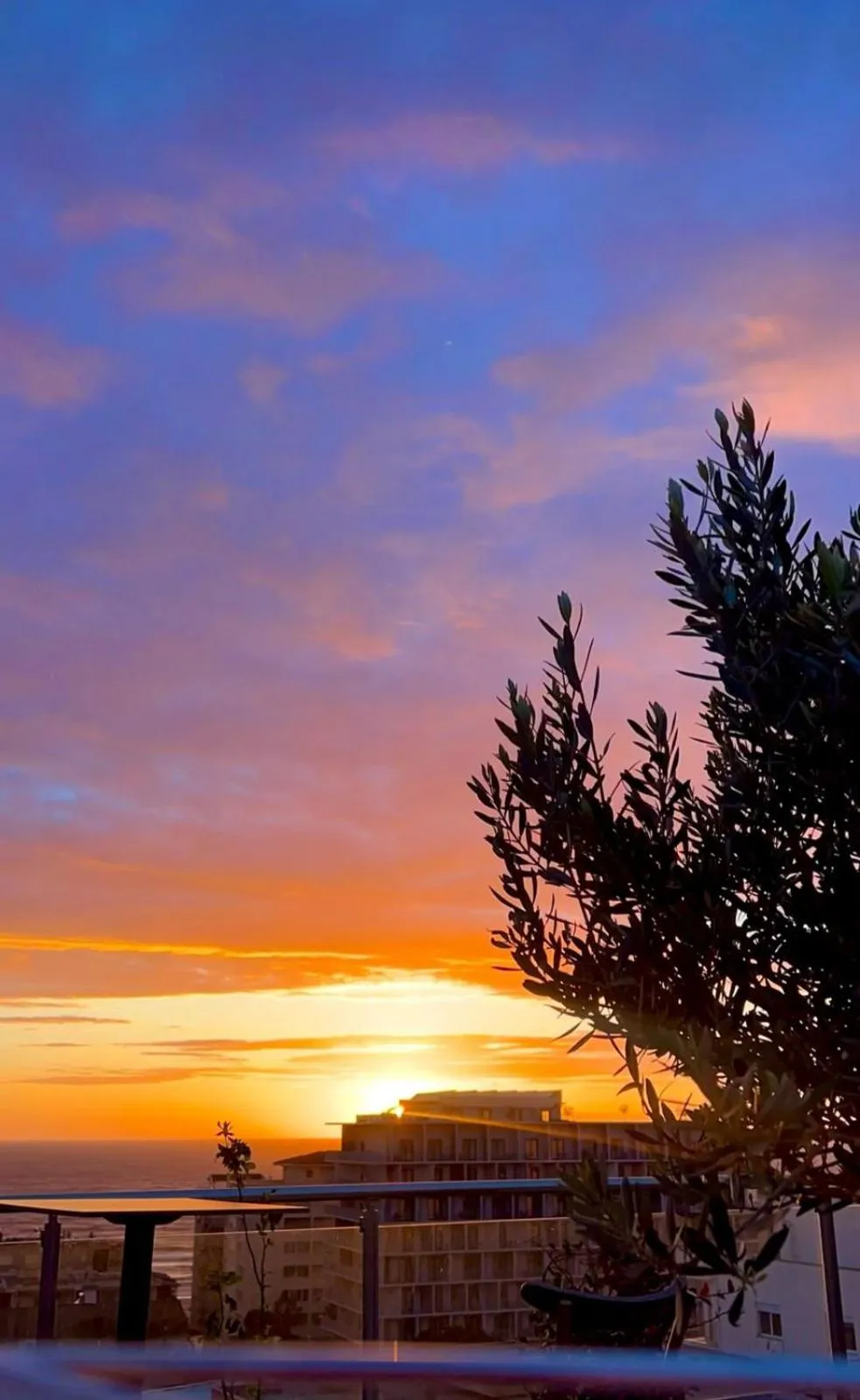Balcony/Terrace in Padel Olivia's Hill Resort