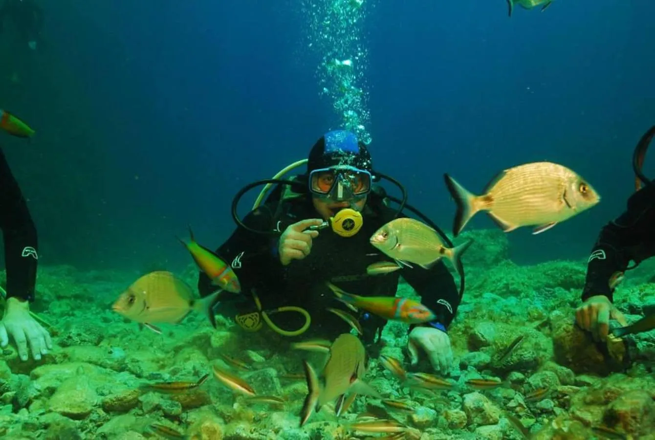 Activities in Kalypso Cretan Village Resort &amp; Spa