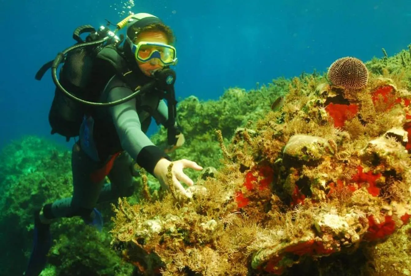 Activities in Kalypso Cretan Village Resort &amp; Spa