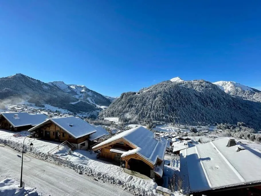 La P'tite Grange - Apt 302 - BO Immobilier- Reduced prices on ski passes Châtel & Portes du Soleil