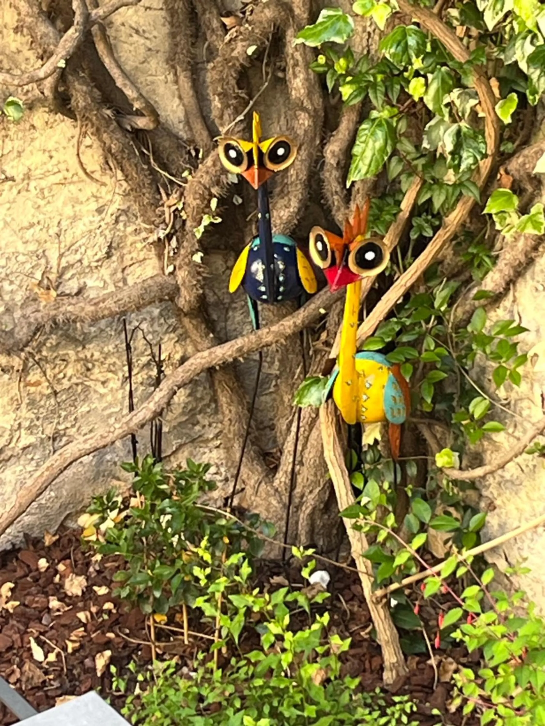 Natural landscape in Le Clos d'Orange - Hotel & ville de Provence