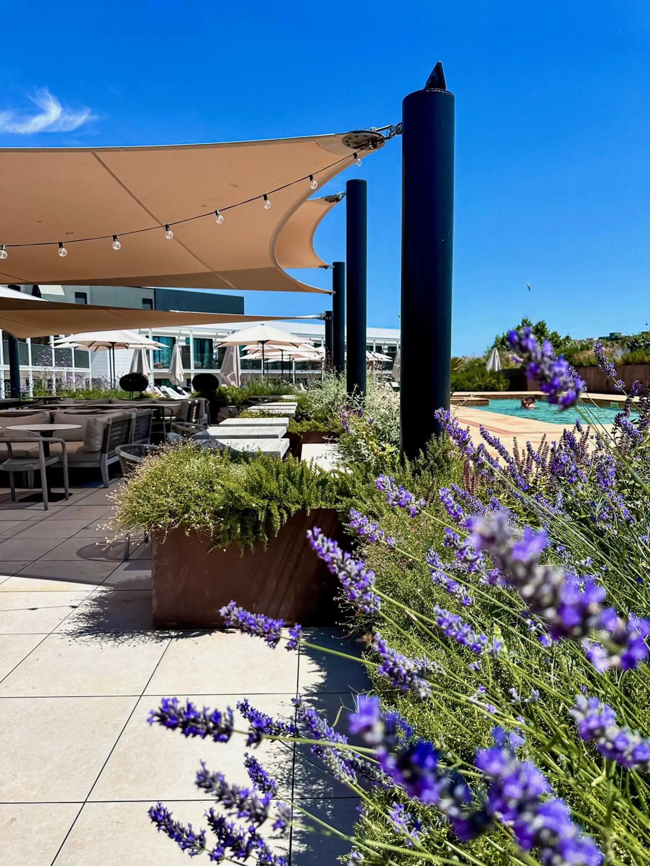 Restaurant/places to eat in Silken Platja d'Aro