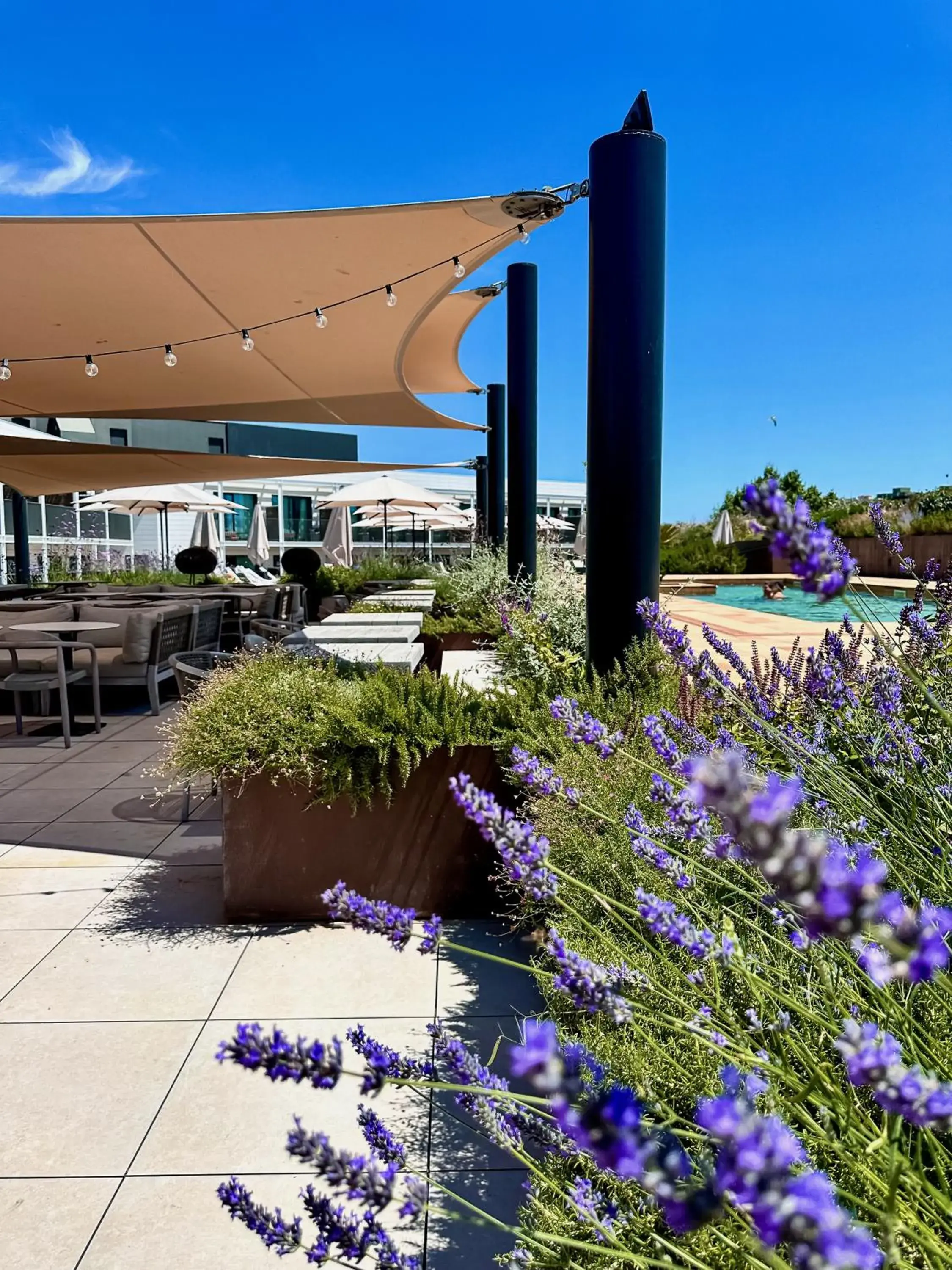 Restaurant/places to eat in Silken Platja d'Aro Restaurant/places to eat in Silken Platja d'Aro