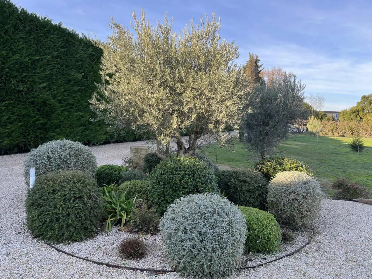 Garden in Mas Allard