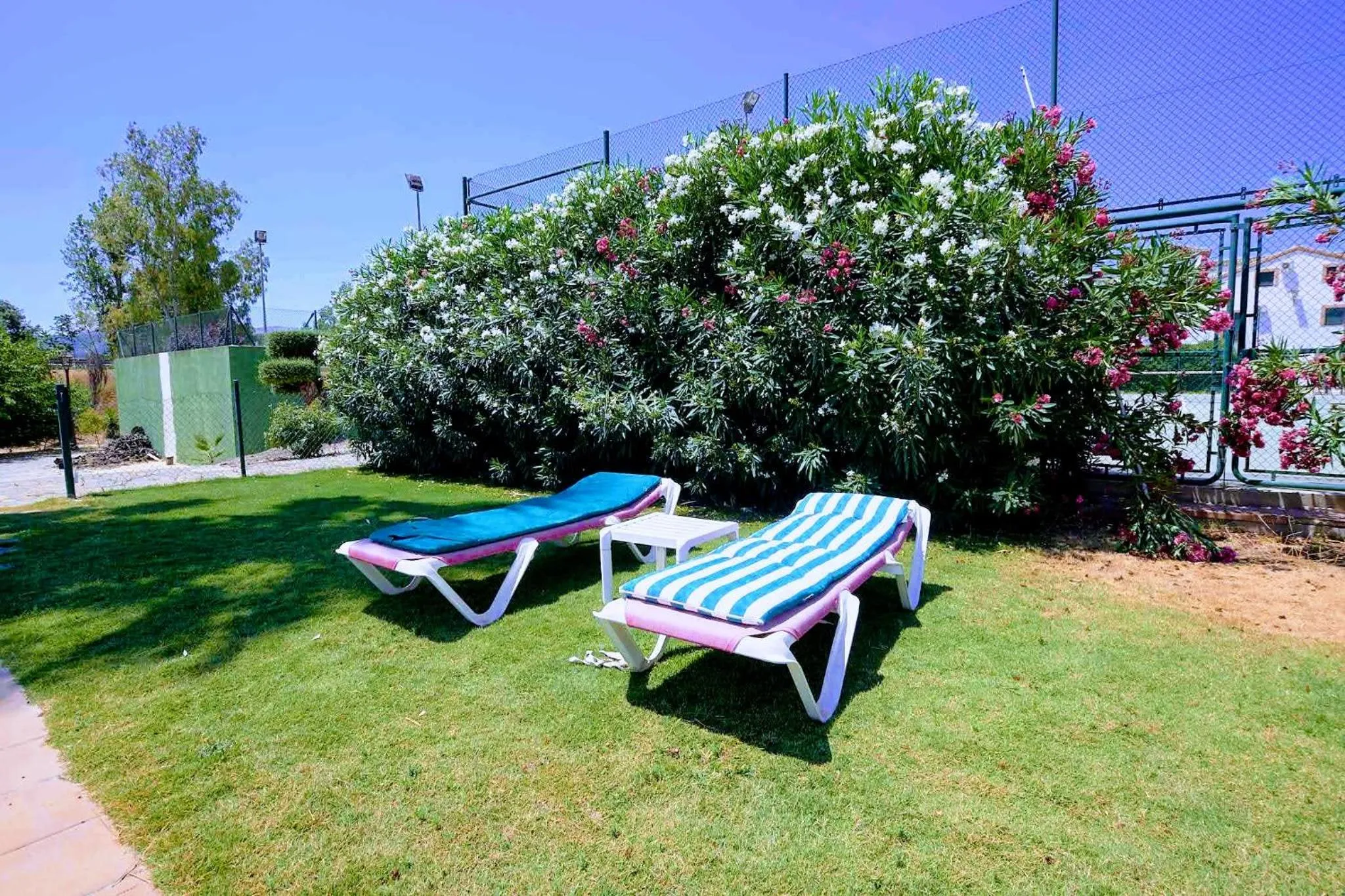 Garden in Hotel Ronda Valley