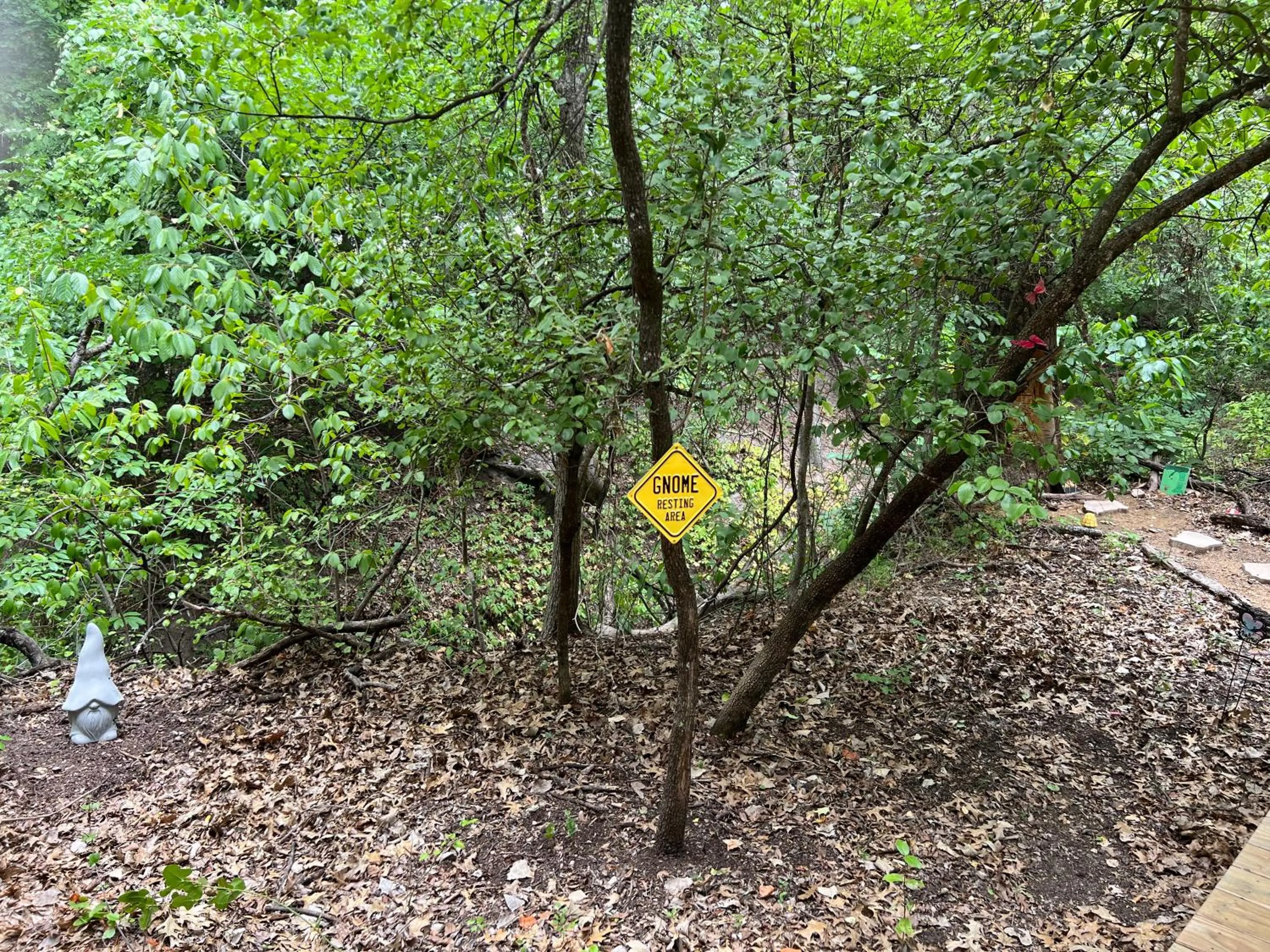 Hobbit Treehouse with waterfall on the Brazos River! 350 acres! Tubing! Petting zoo!