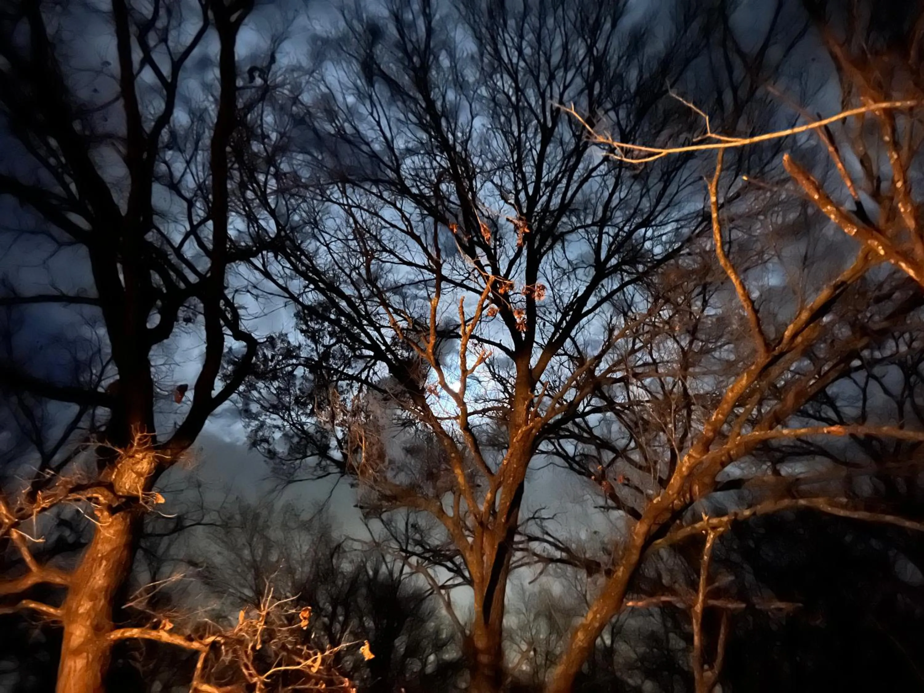 Night in "Magical Treehouse" w spiral slide off the deck 350 acres on the Brazos River! Tubing! Petting Zoo!