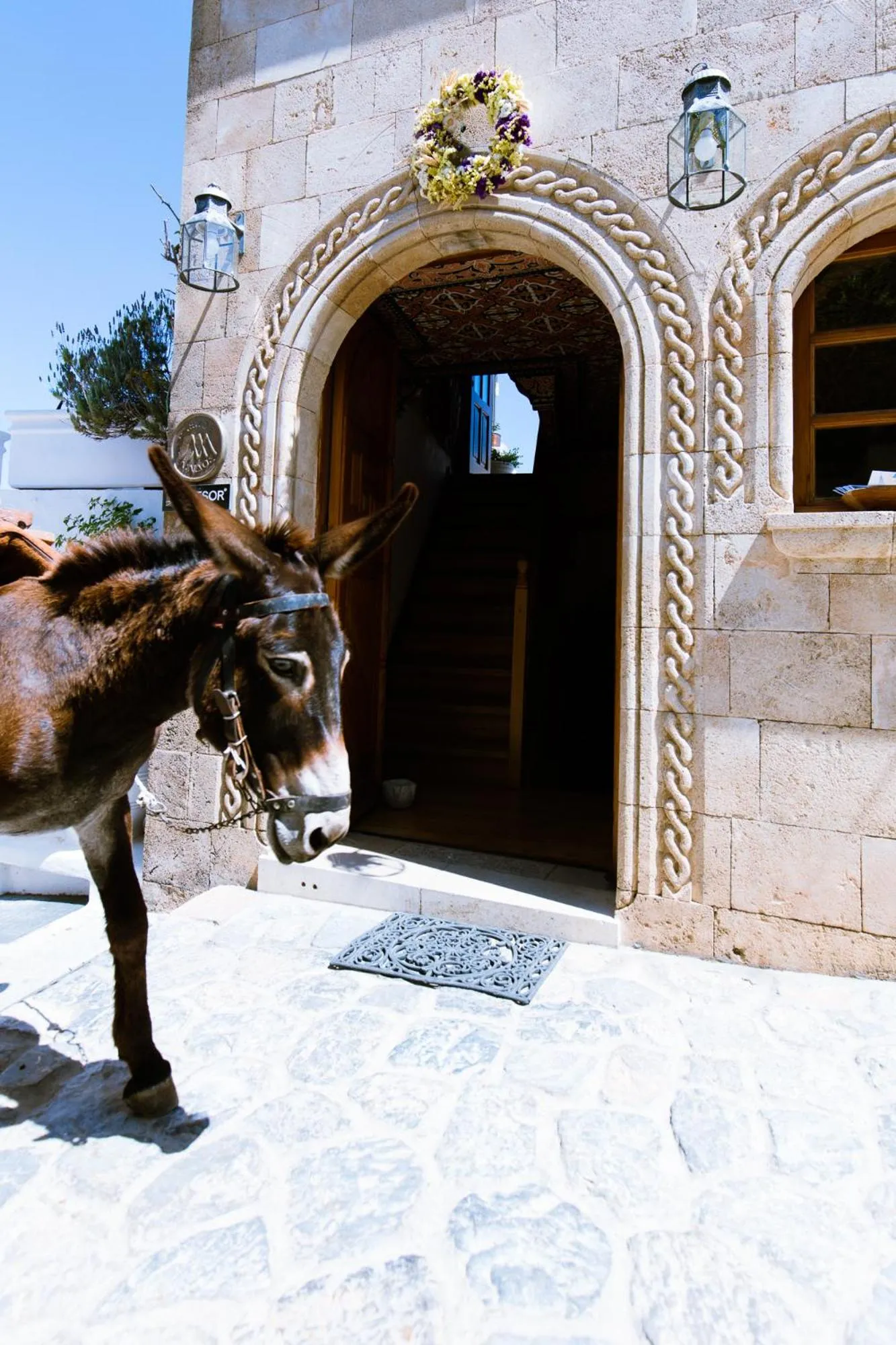 Animals in Melenos Art Boutique Hotel