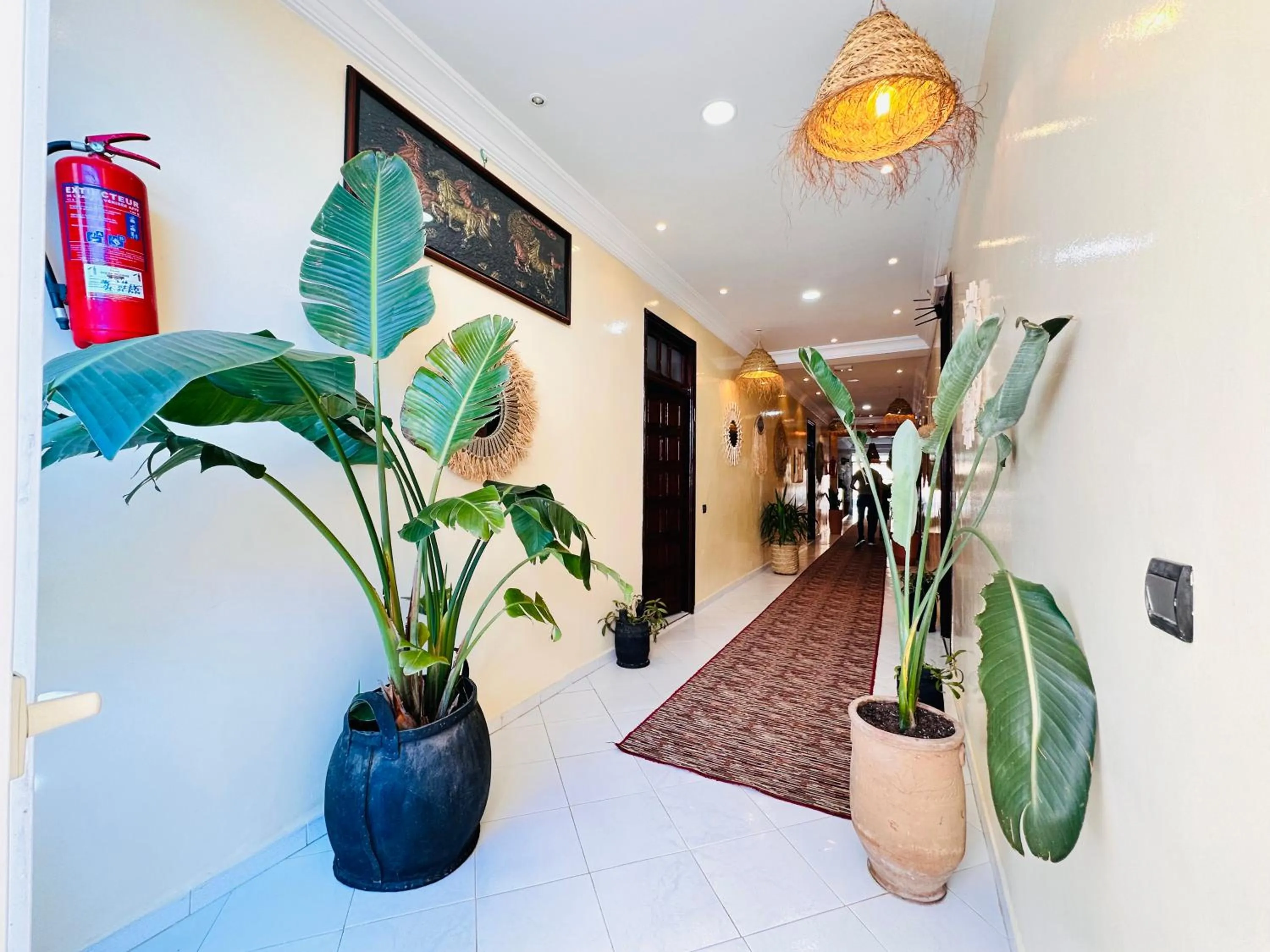 Property building in Locals Taghazout surfcamp