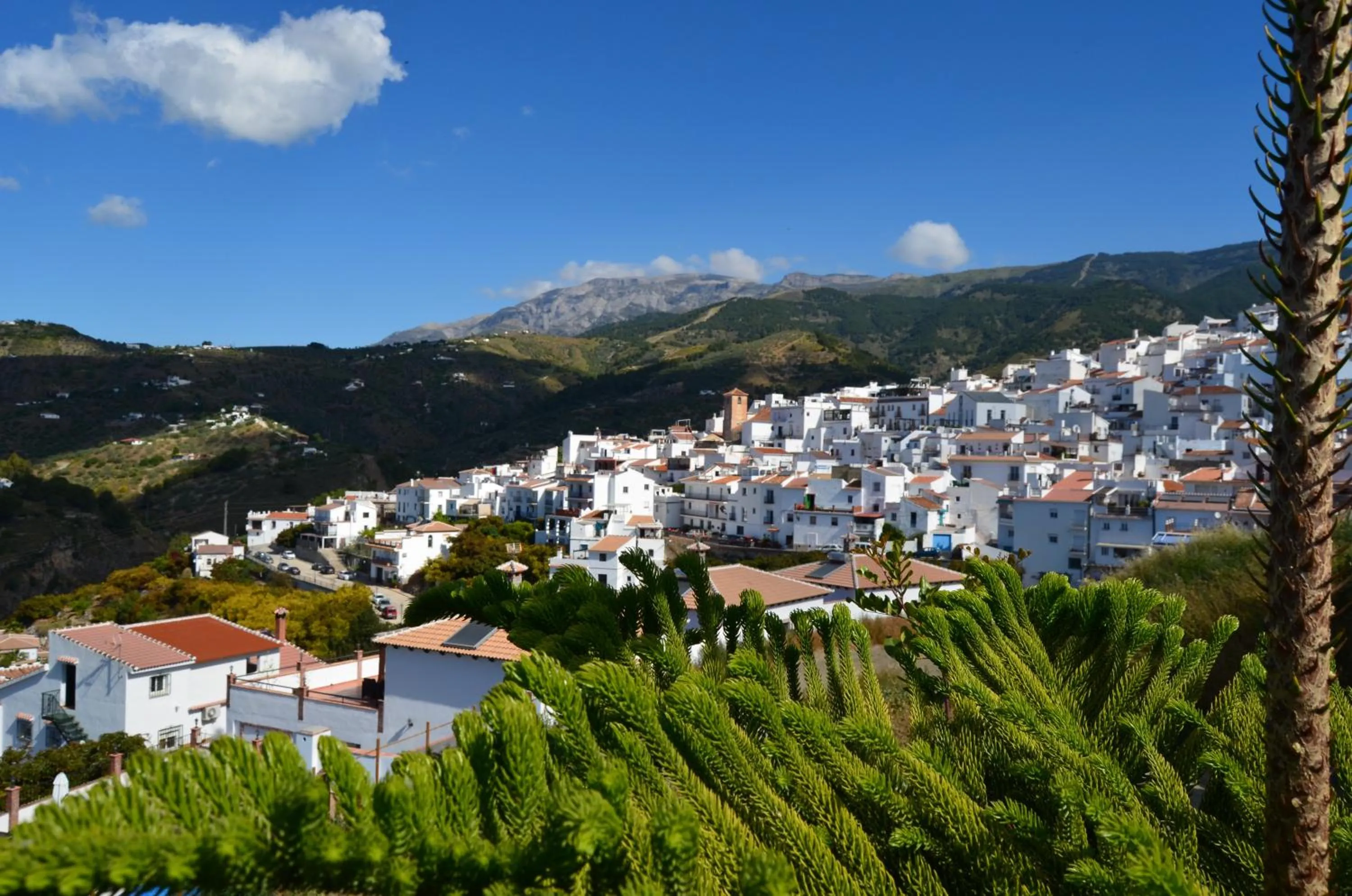 Natural landscape in Posada La Plaza