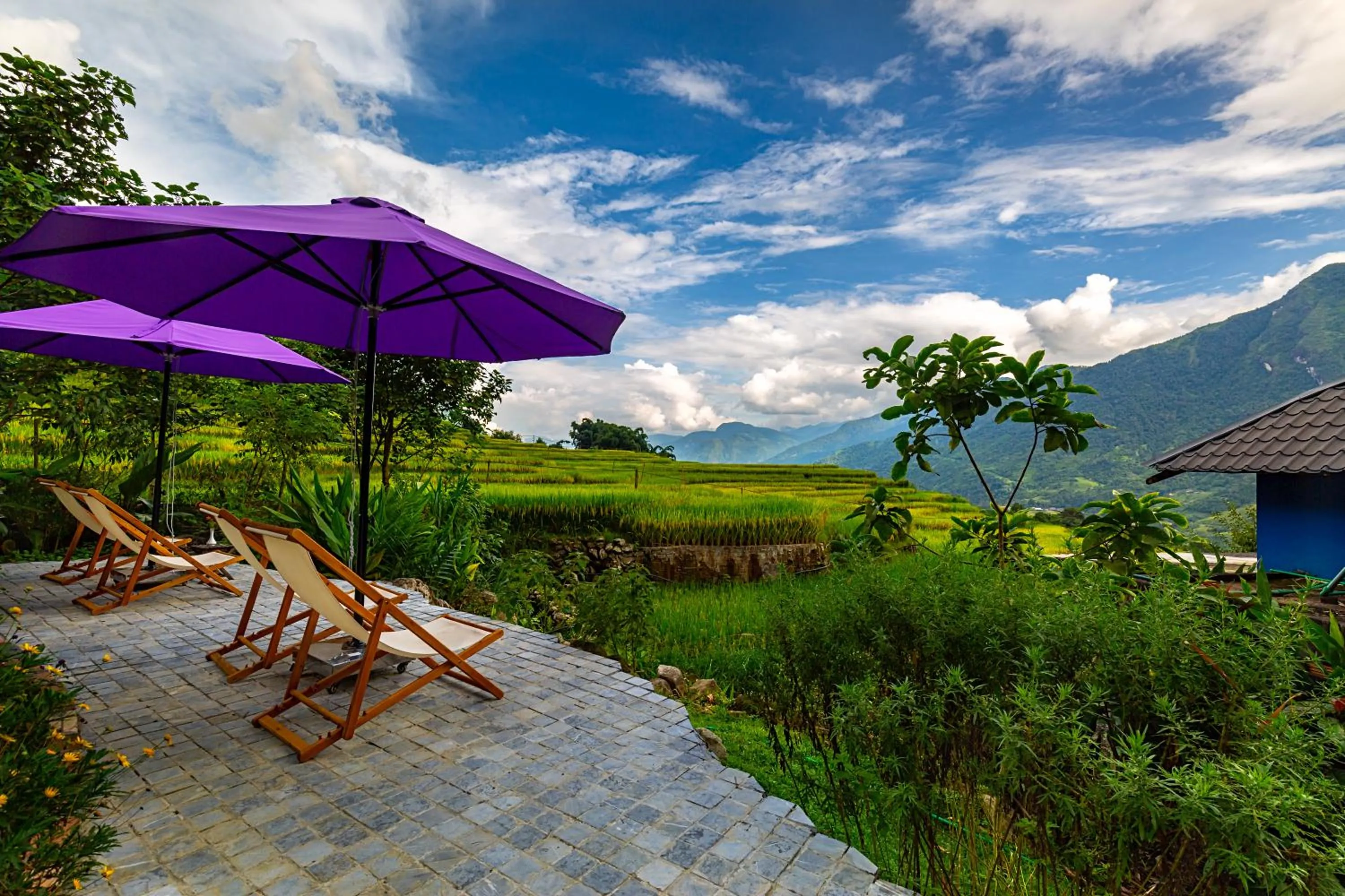Natural landscape in Moc Home Sapa