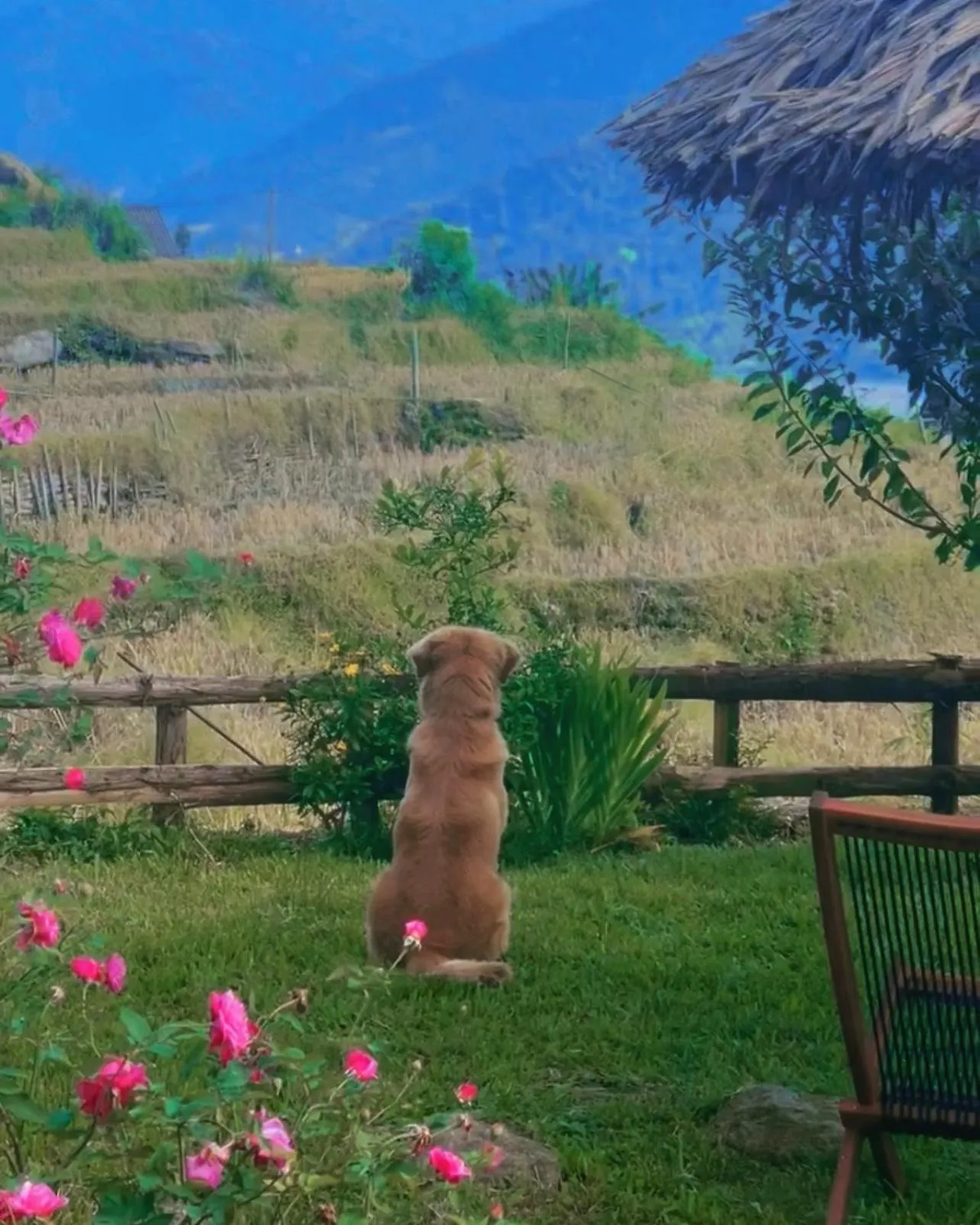 Natural landscape in Moc Home Sapa