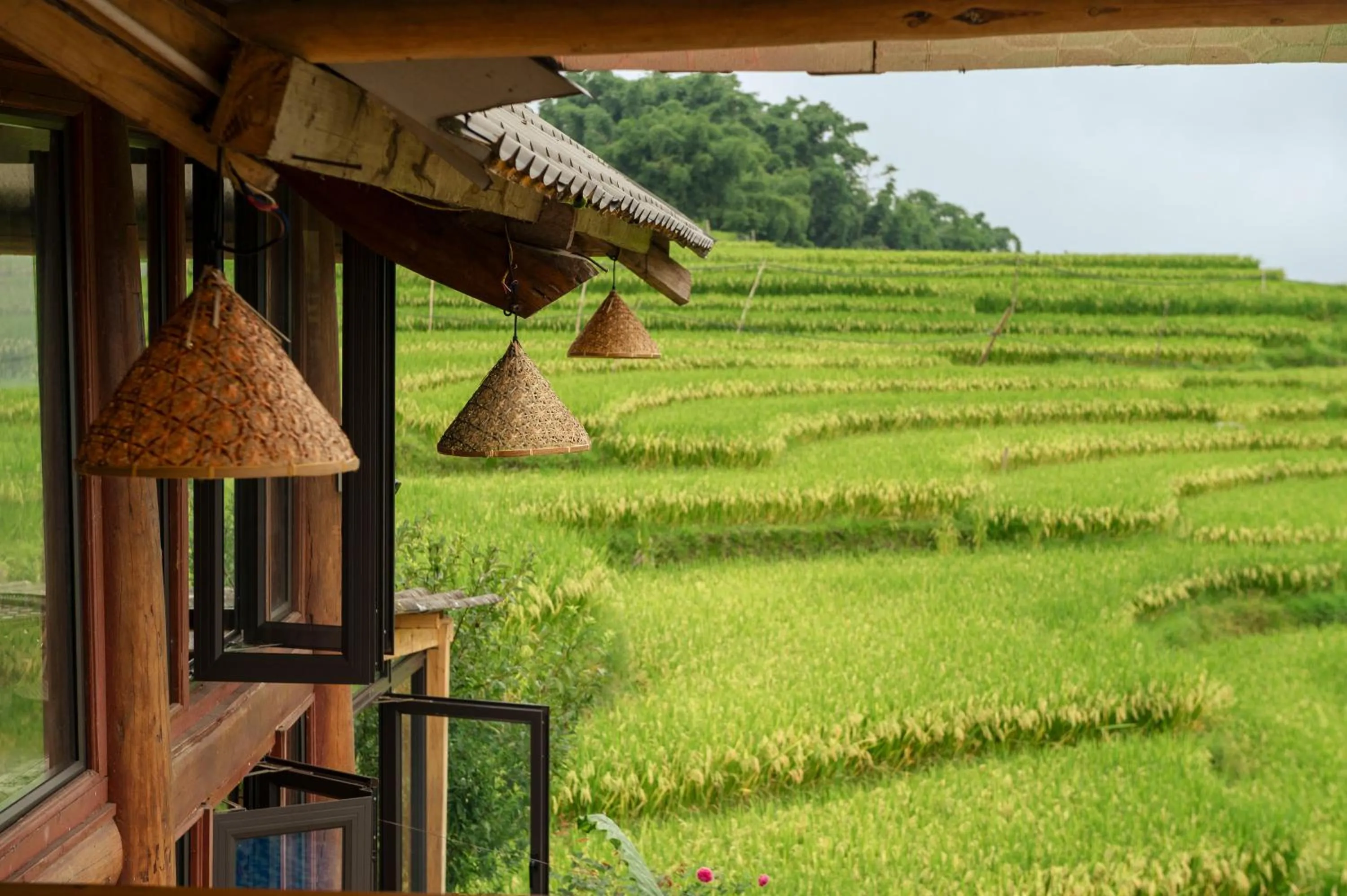 Day in Moc Home Sapa