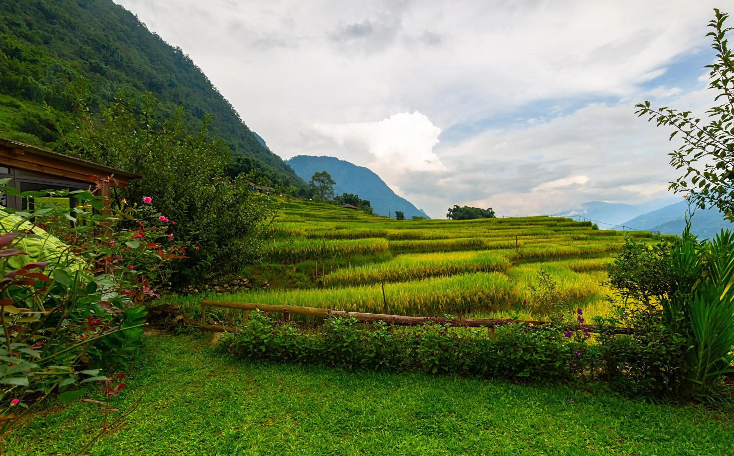 Natural landscape in Moc Home Sapa