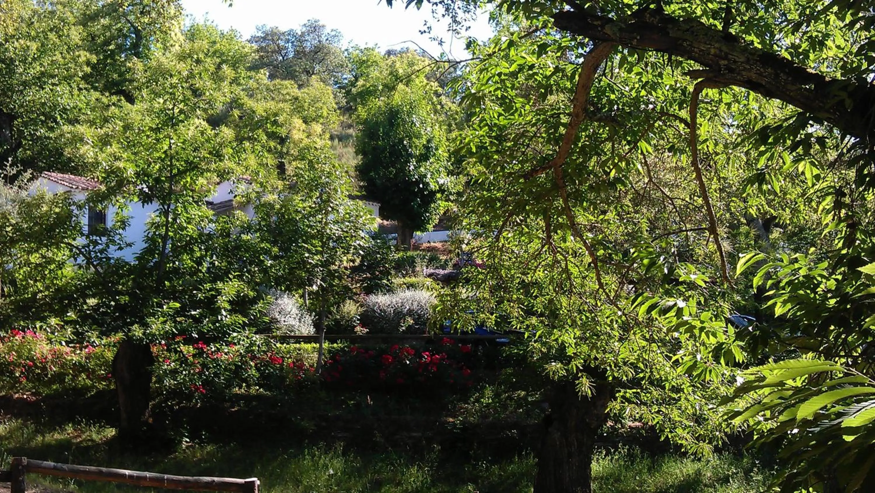 Area and facilities in Finca Valbono Apartamentos Rurales y Hotel