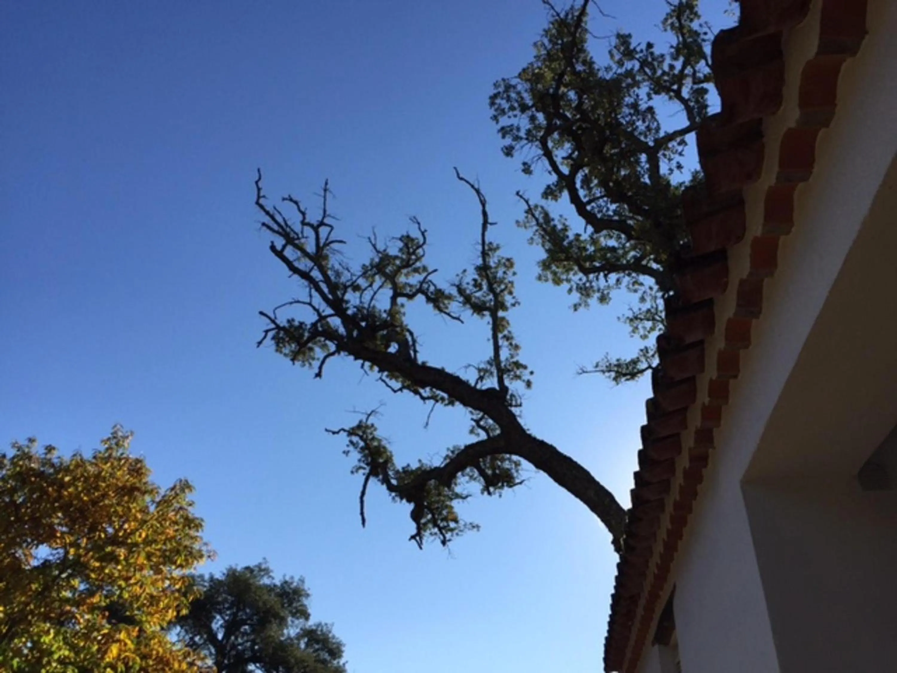 Decorative detail in Finca Valbono Apartamentos Rurales y Hotel