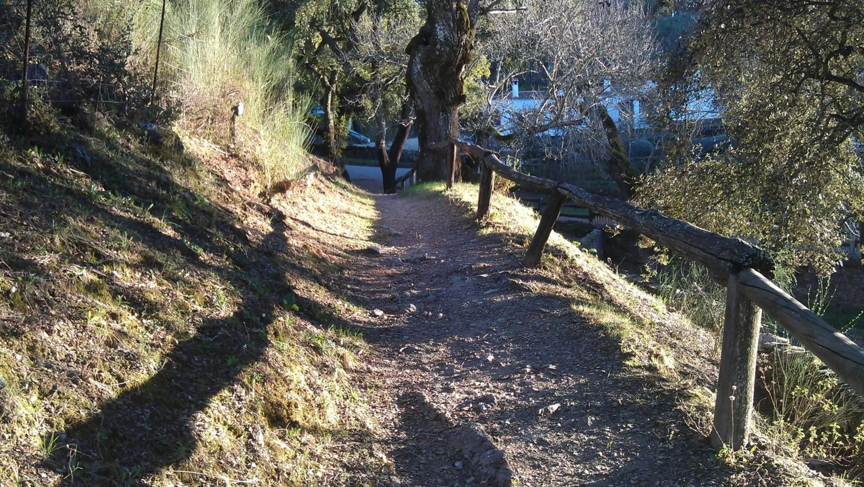 Other in Finca Valbono Apartamentos Rurales y Hotel