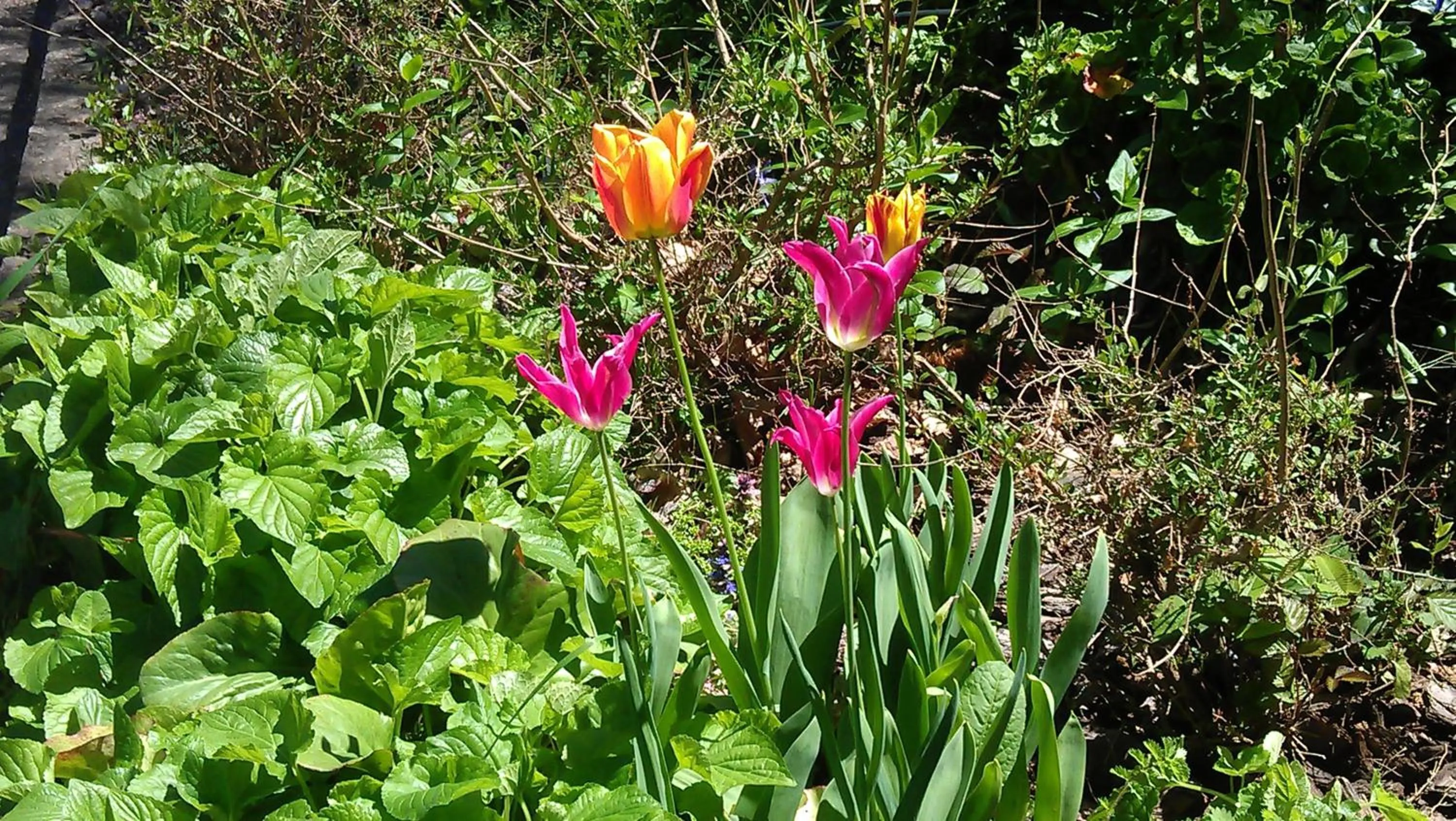 Other in Finca Valbono Apartamentos Rurales y Hotel