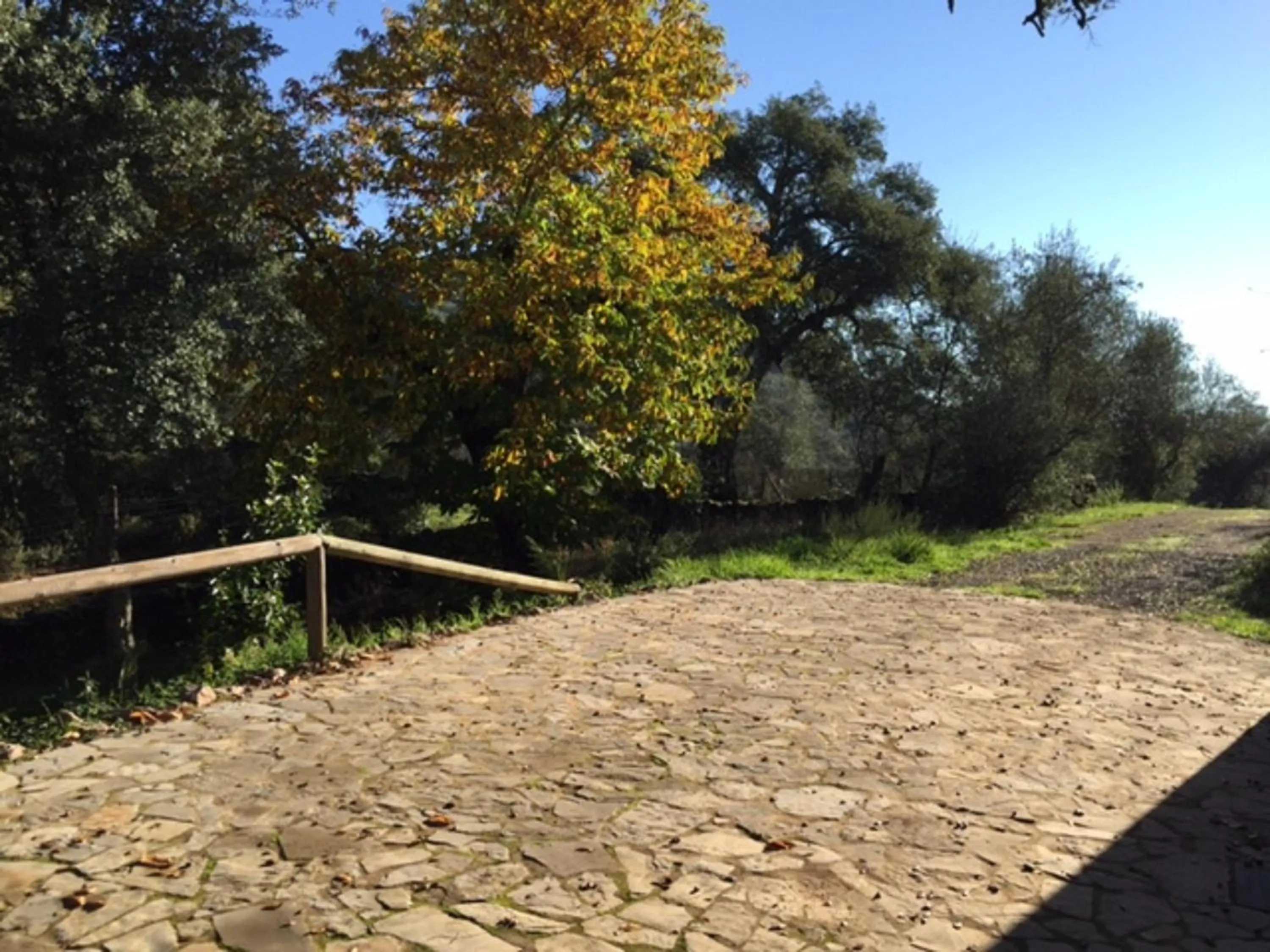 View (from property/room) in Finca Valbono Apartamentos Rurales y Hotel