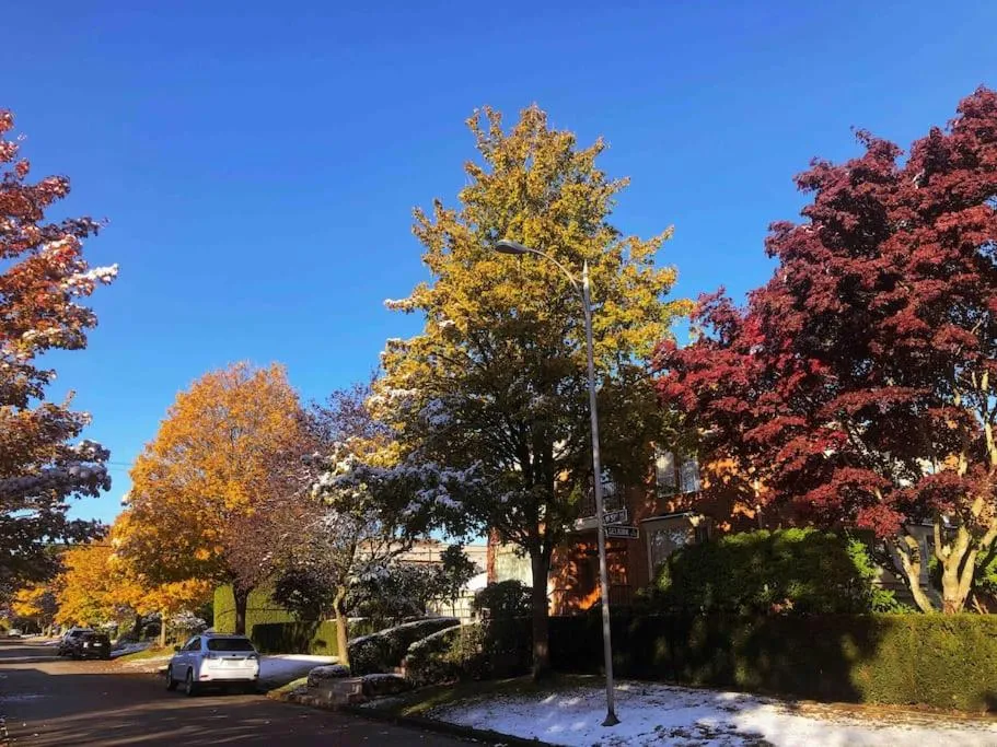 Day in Super Cosy 8Bed & 6Bath in Vancouver heart near to airport and DownTown