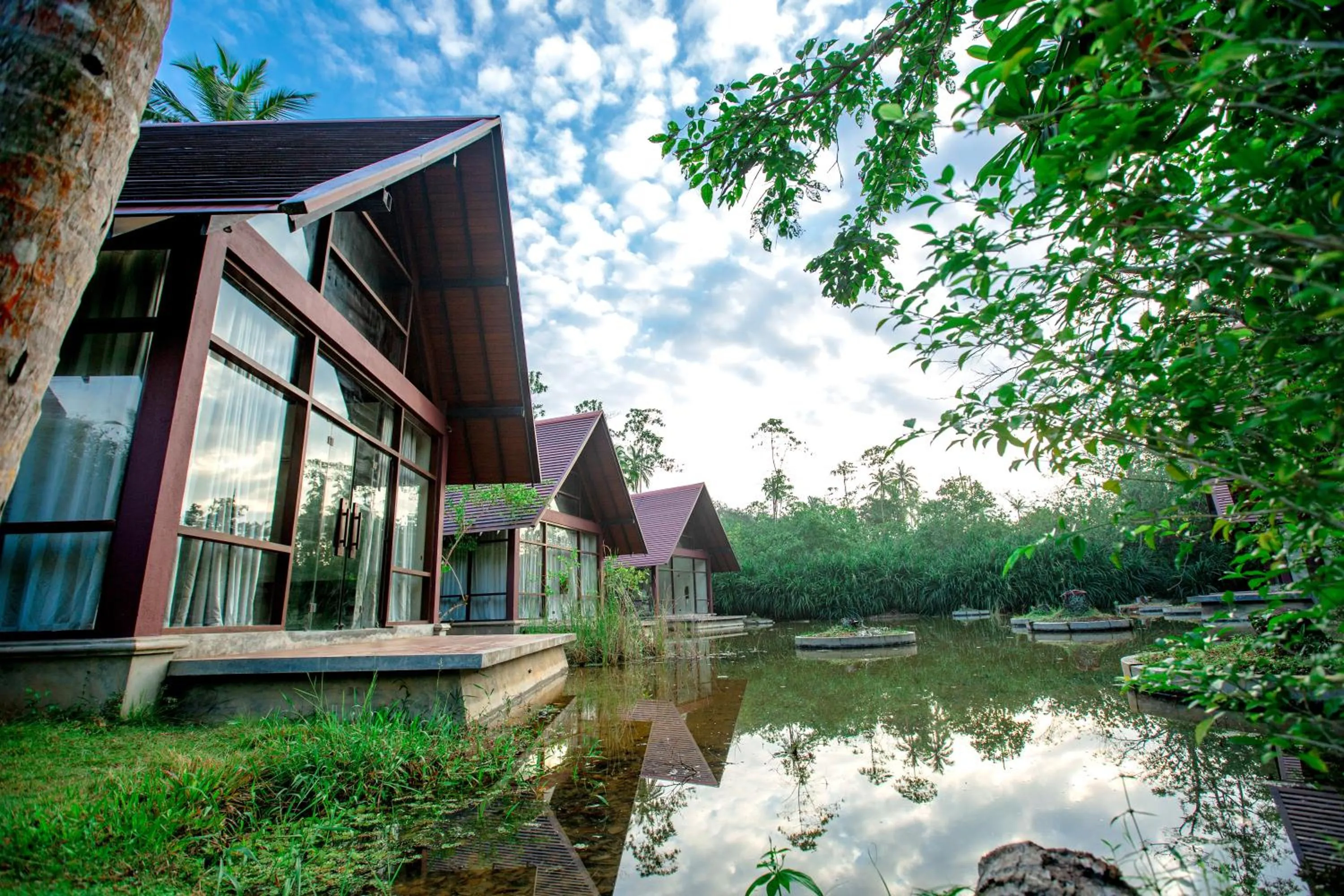Garden in Celestia Ayurveda Resort