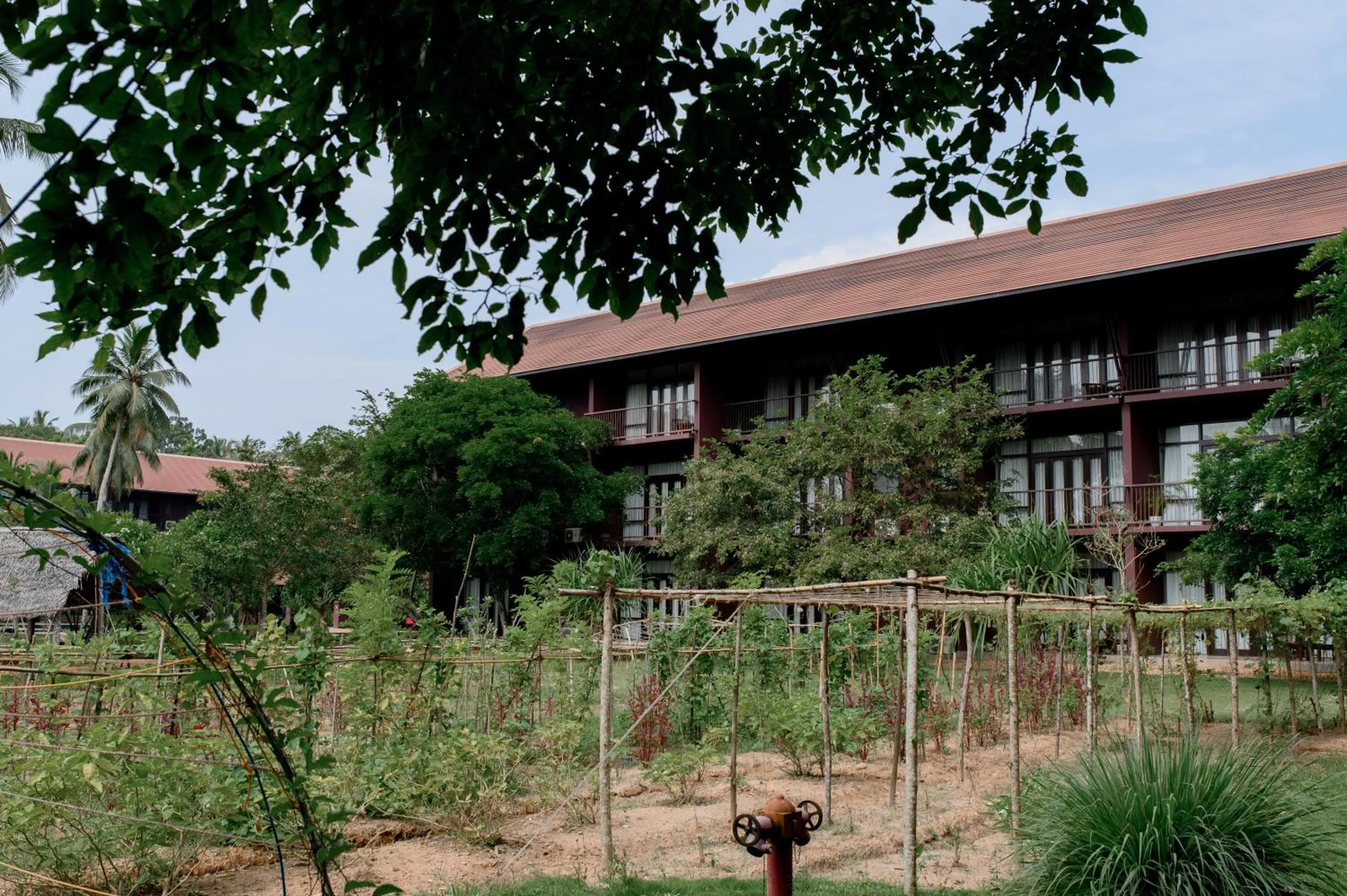 Garden in Celestia Ayurveda Resort