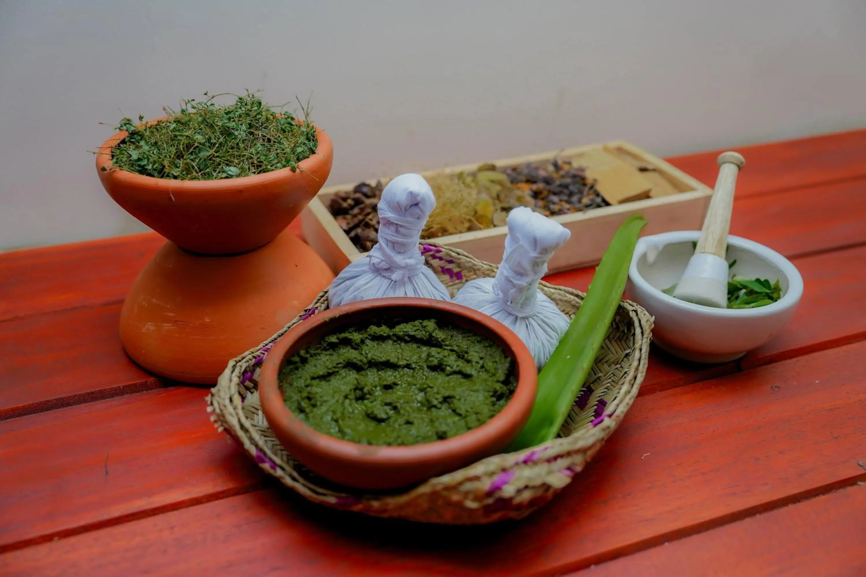 Spa and wellness centre/facilities in Celestia Ayurveda Resort