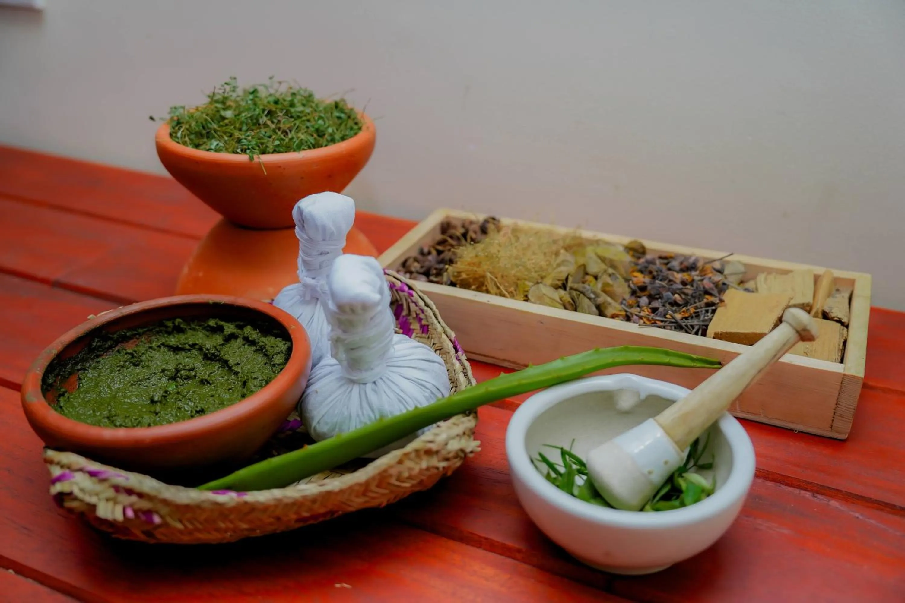 Spa and wellness centre/facilities in Celestia Ayurveda Resort