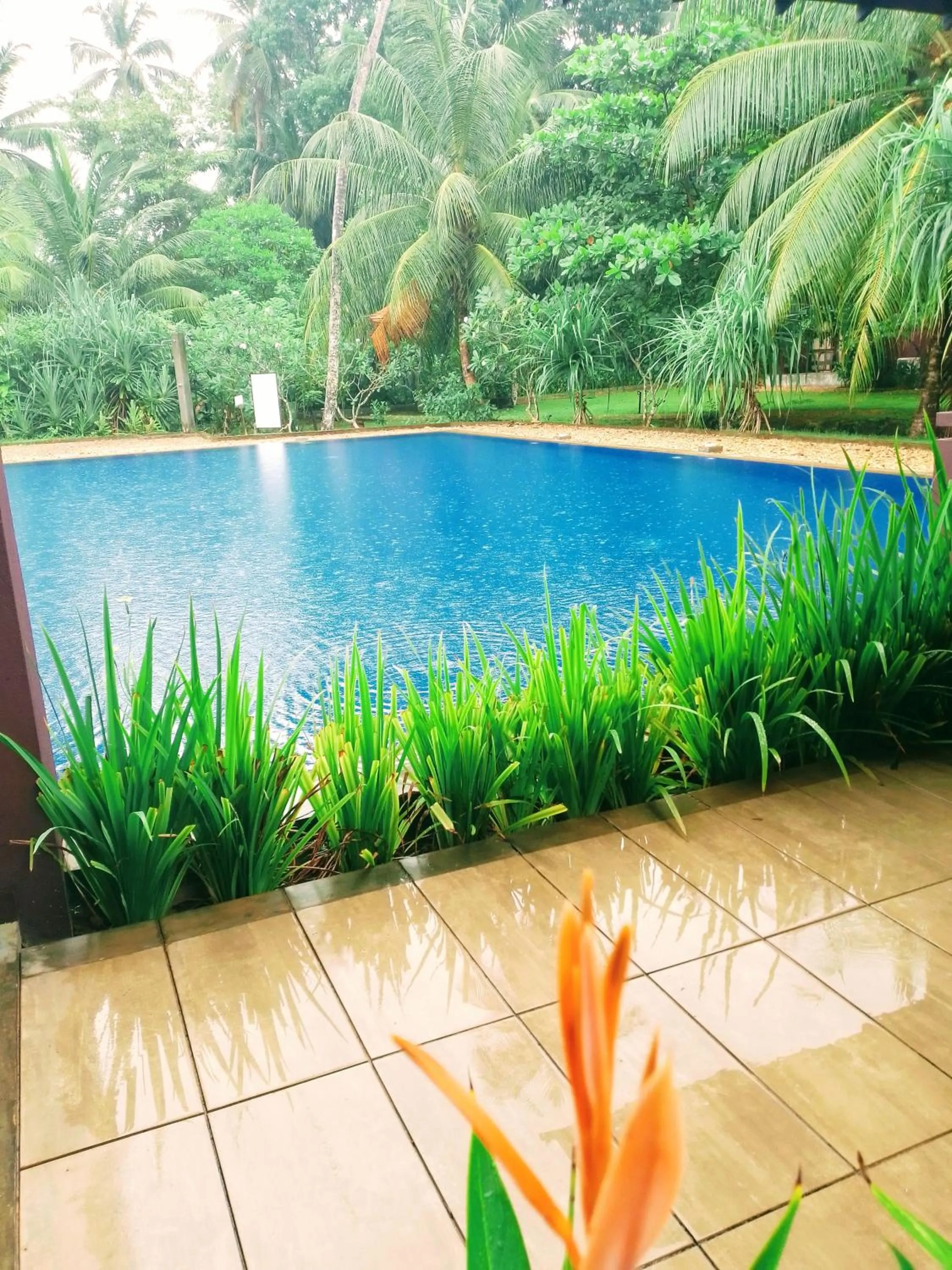 Natural landscape in Celestia Ayurveda Resort