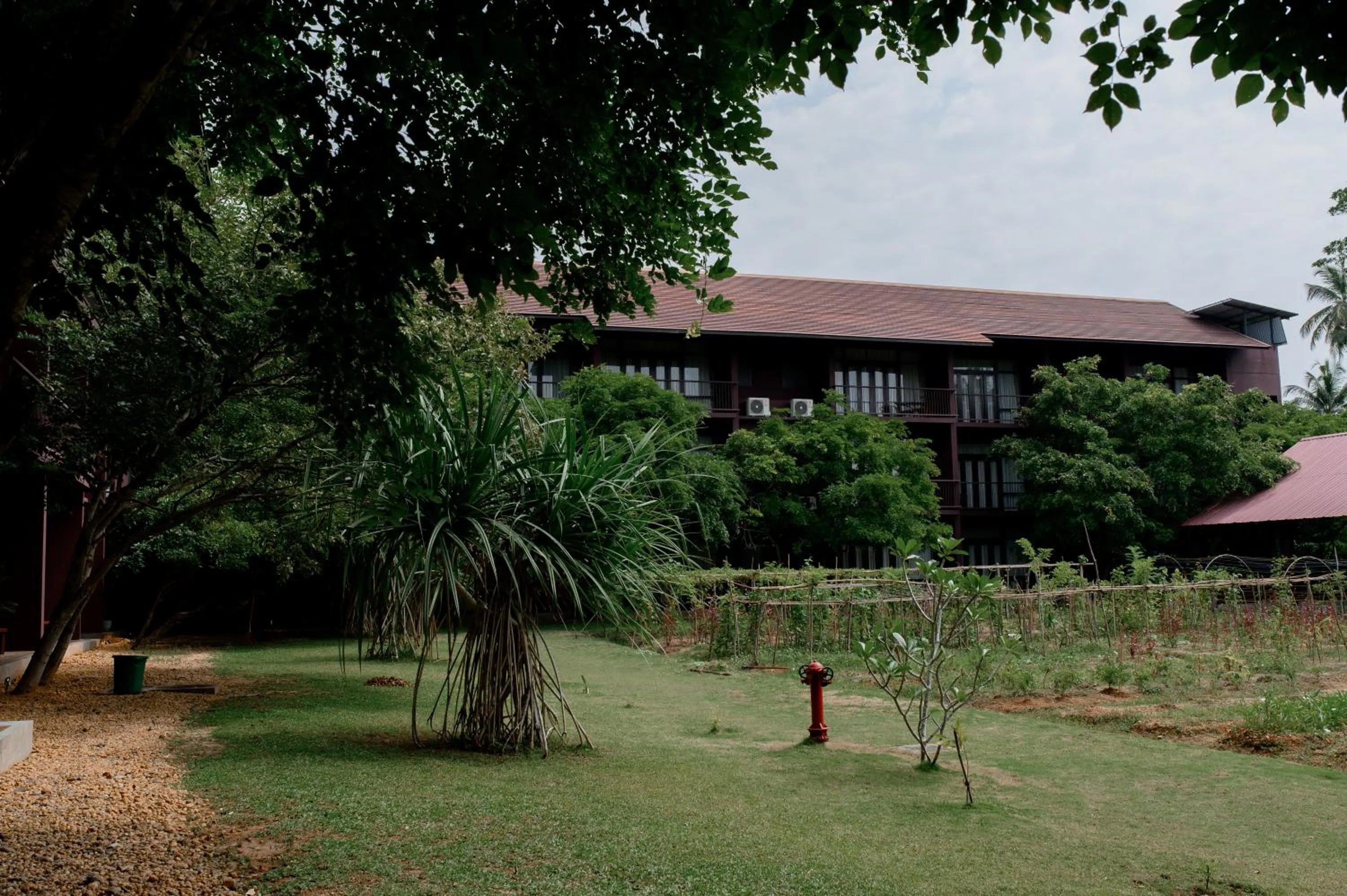 Garden in Celestia Ayurveda Resort