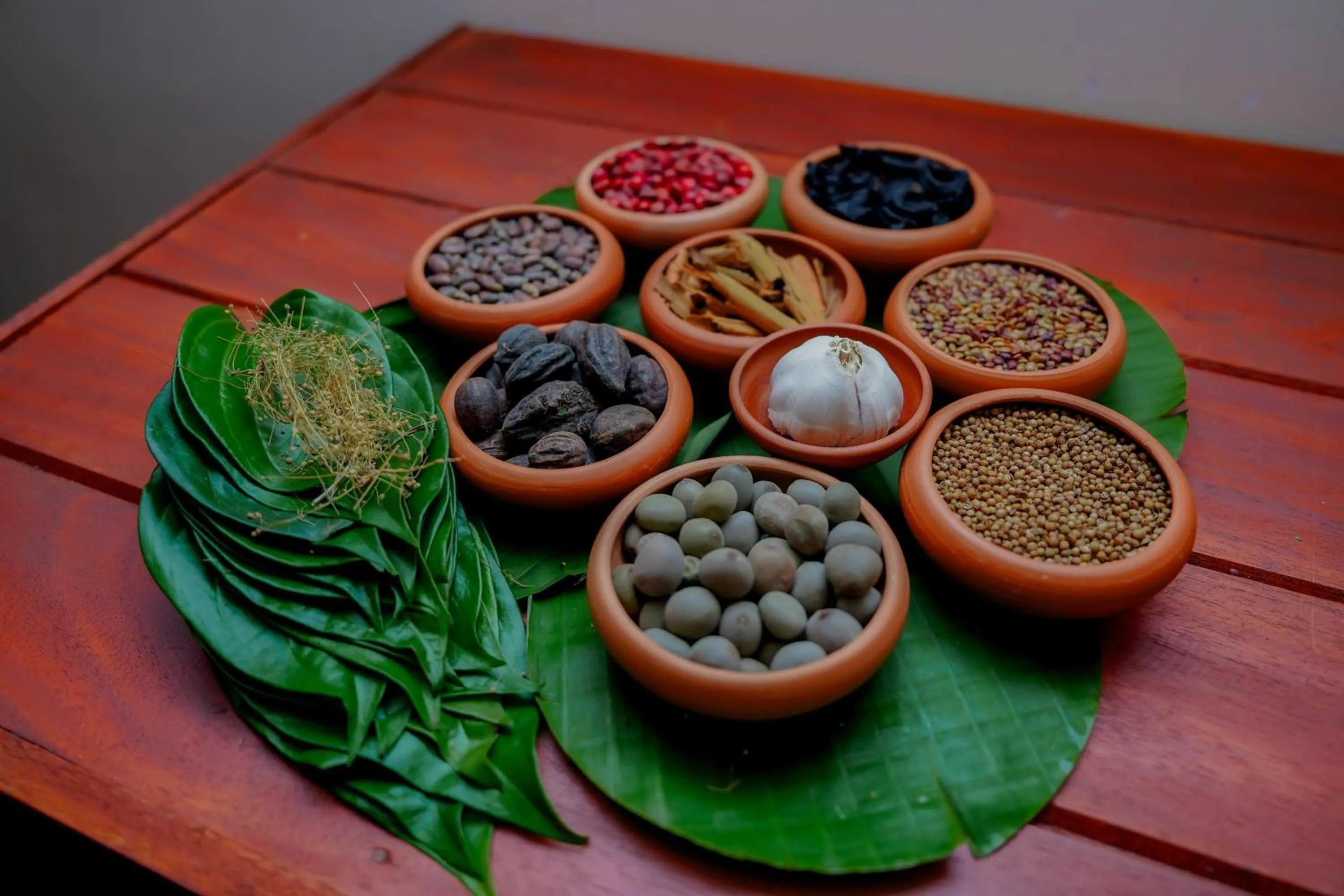 Spa and wellness centre/facilities in Celestia Ayurveda Resort