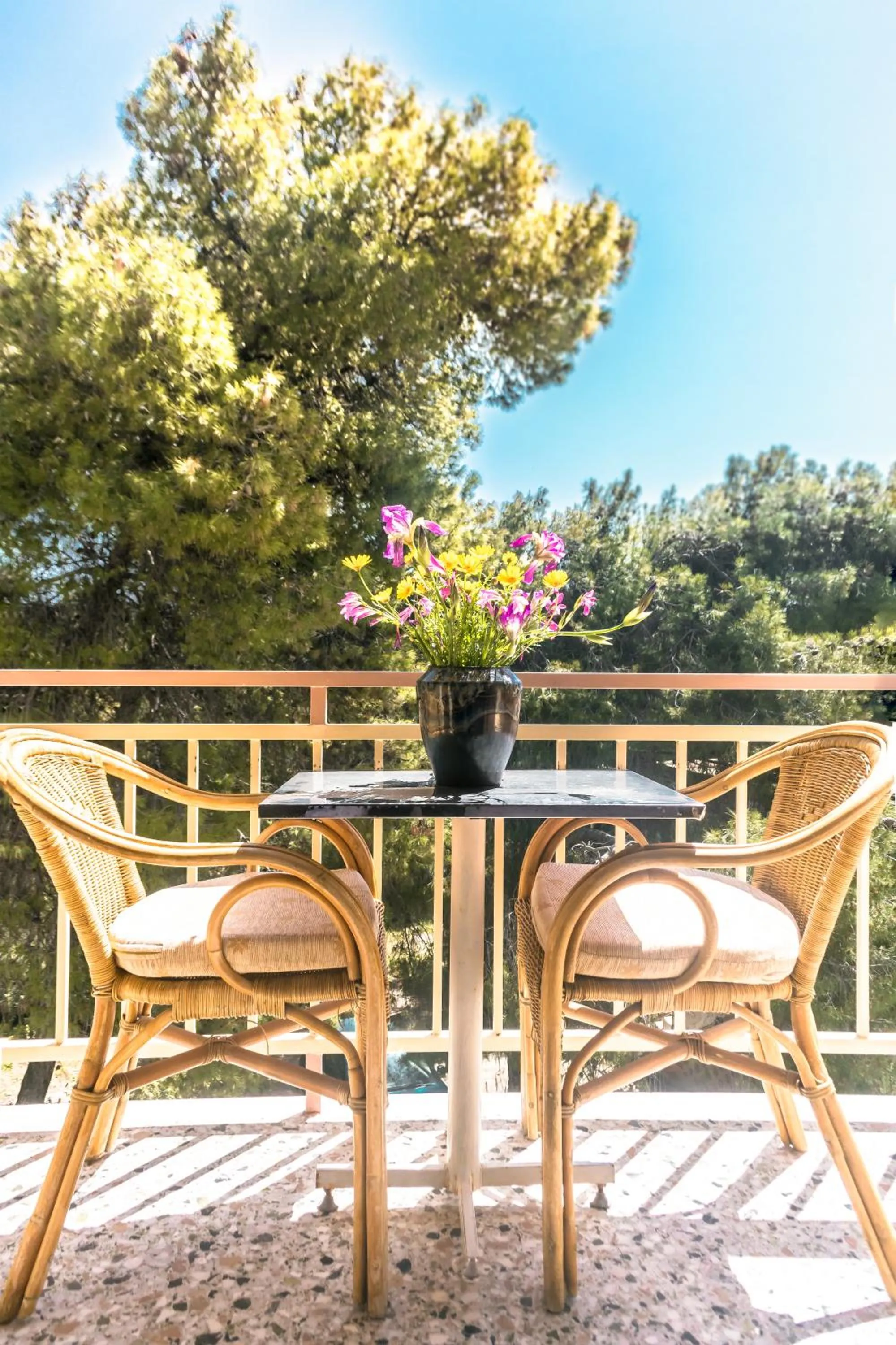 Balcony/Terrace in The Delfini Hotel