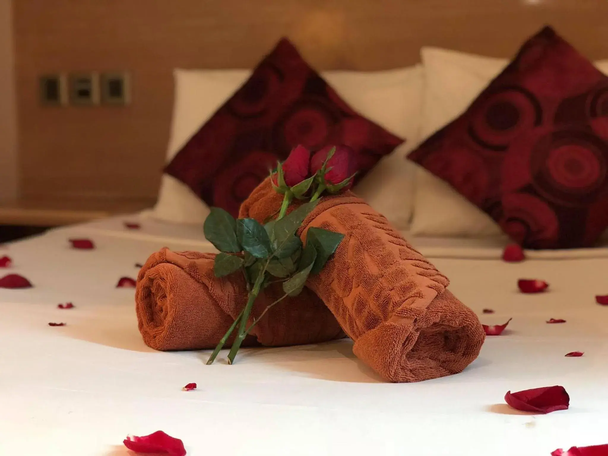 Bed in The Room Hotel Bed in The Room Hotel