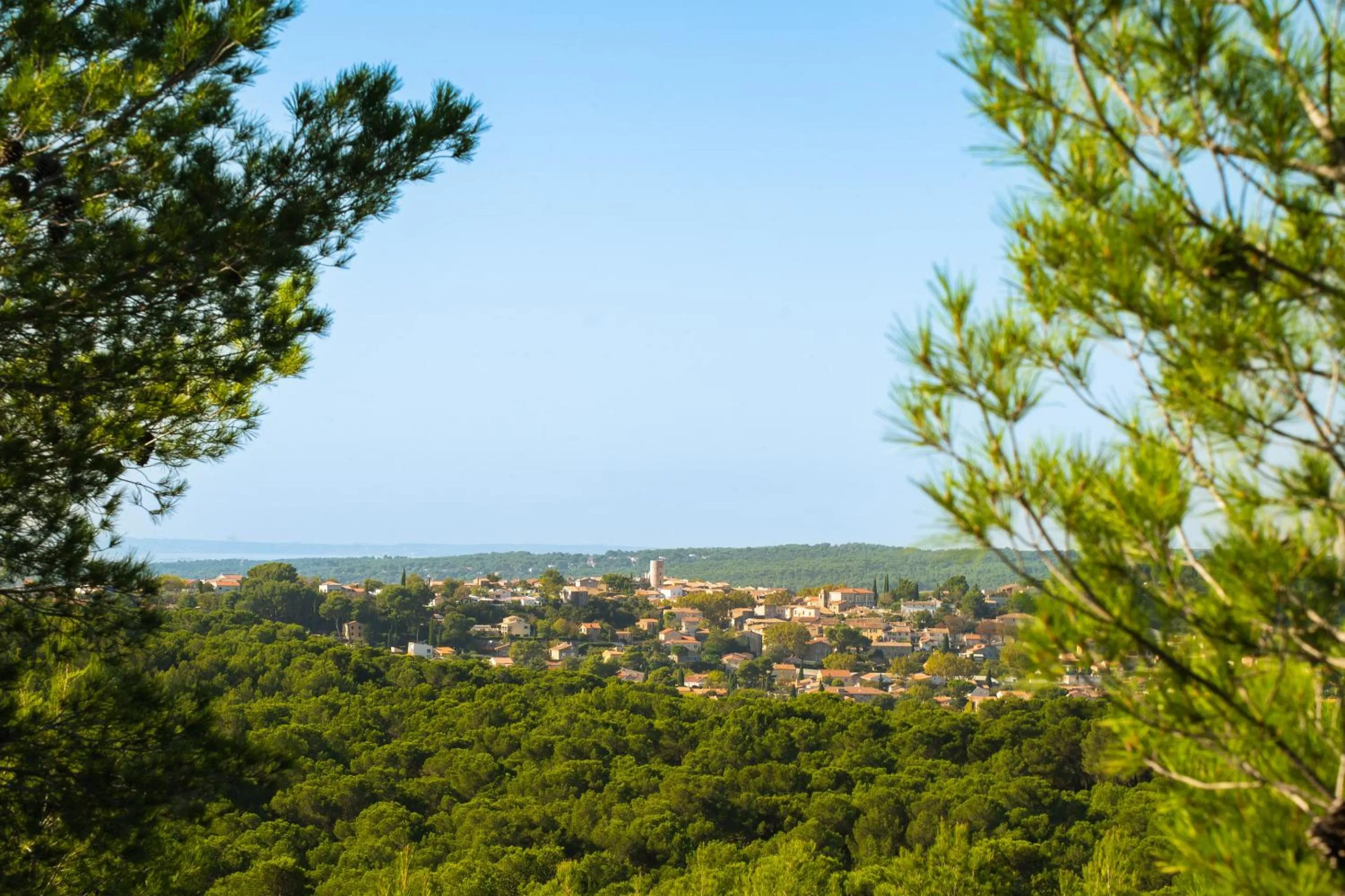 Neighbourhood in SOUS LES PLATANES