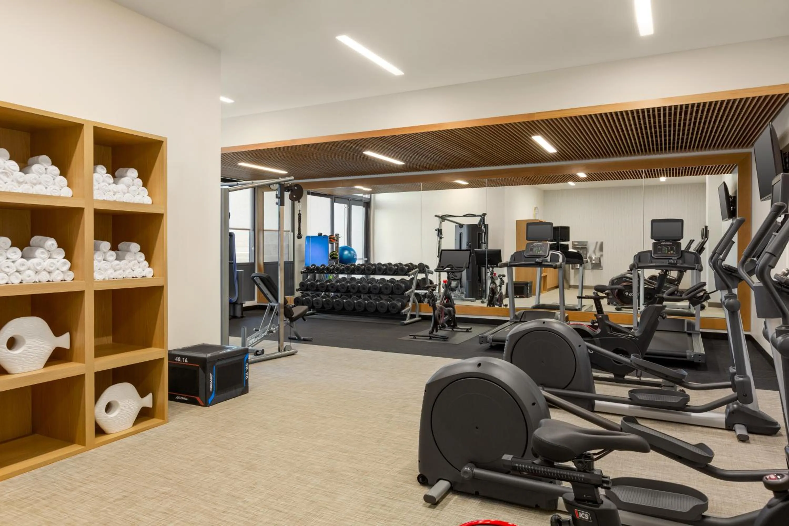 Fitness centre/facilities in Hampton Inn & Suites San Mateo-San Francisco Airport