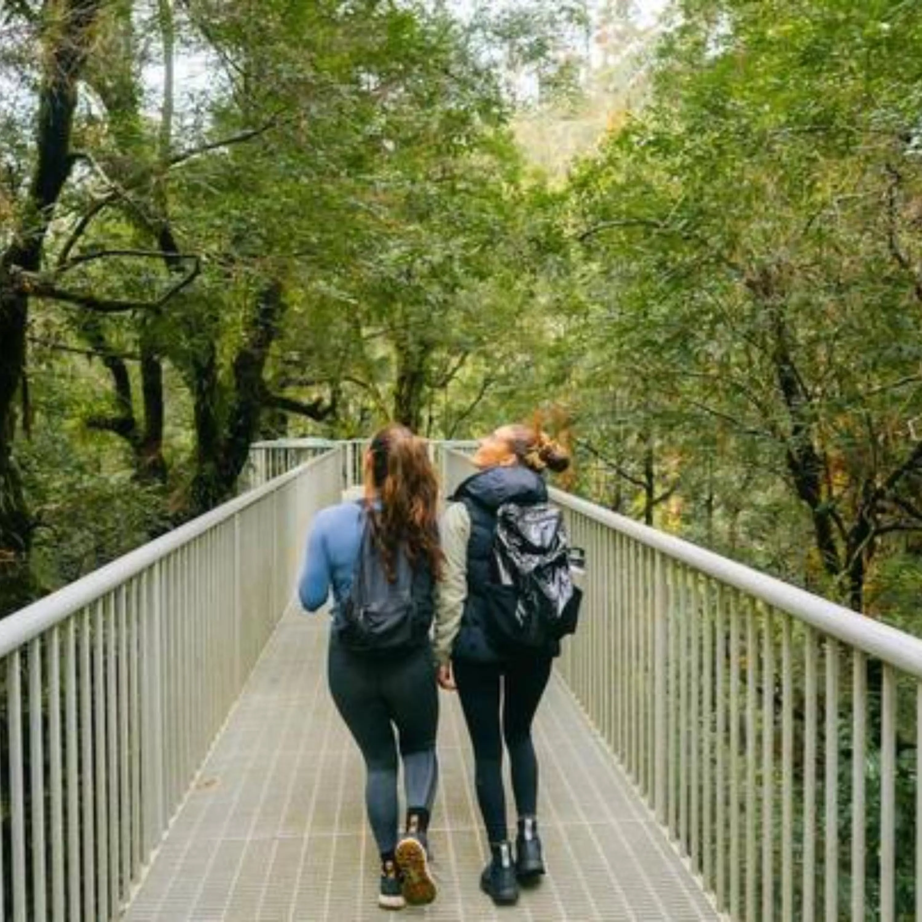 Alpine Hotel, Eat Drink Sleep