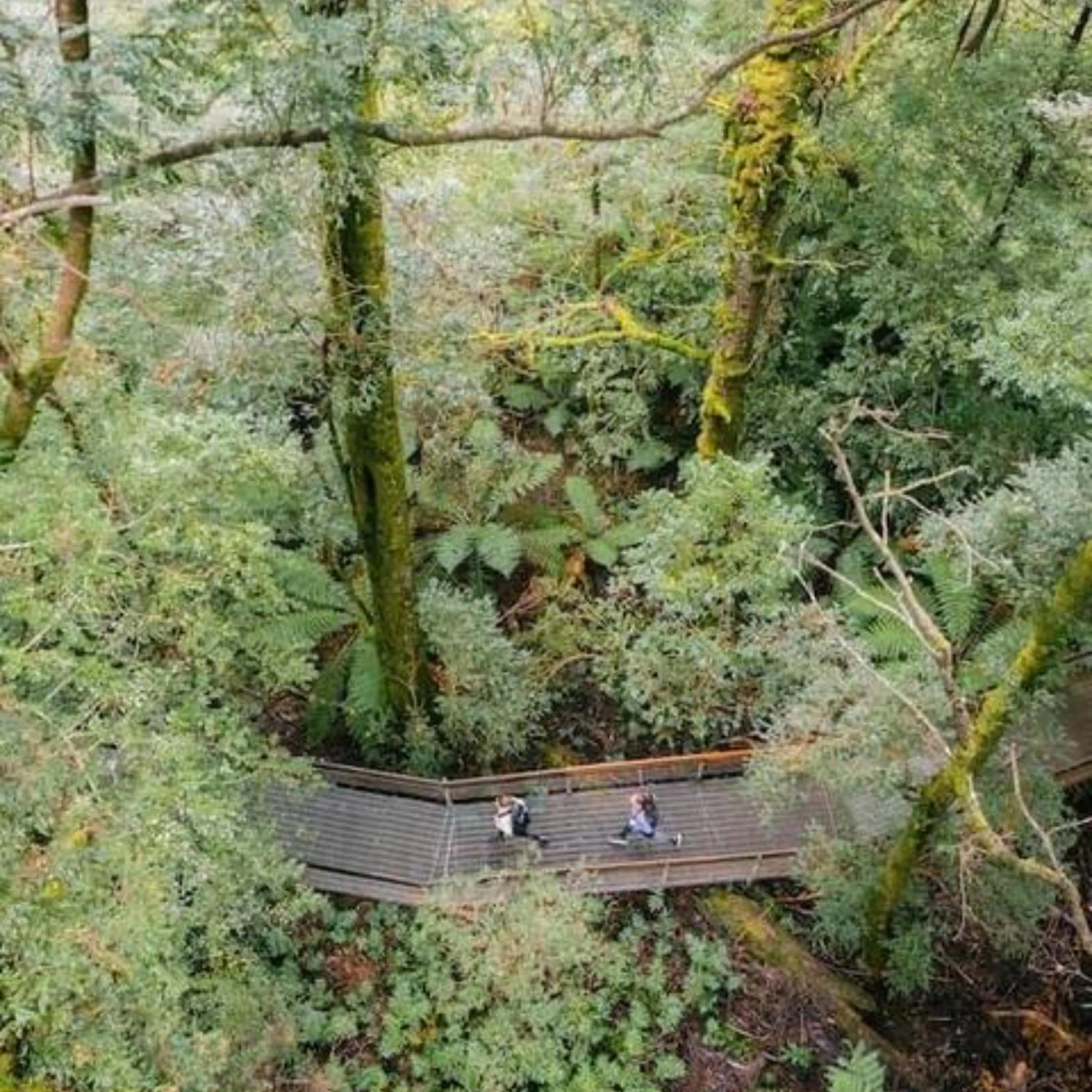 Alpine Hotel, Eat Drink Sleep