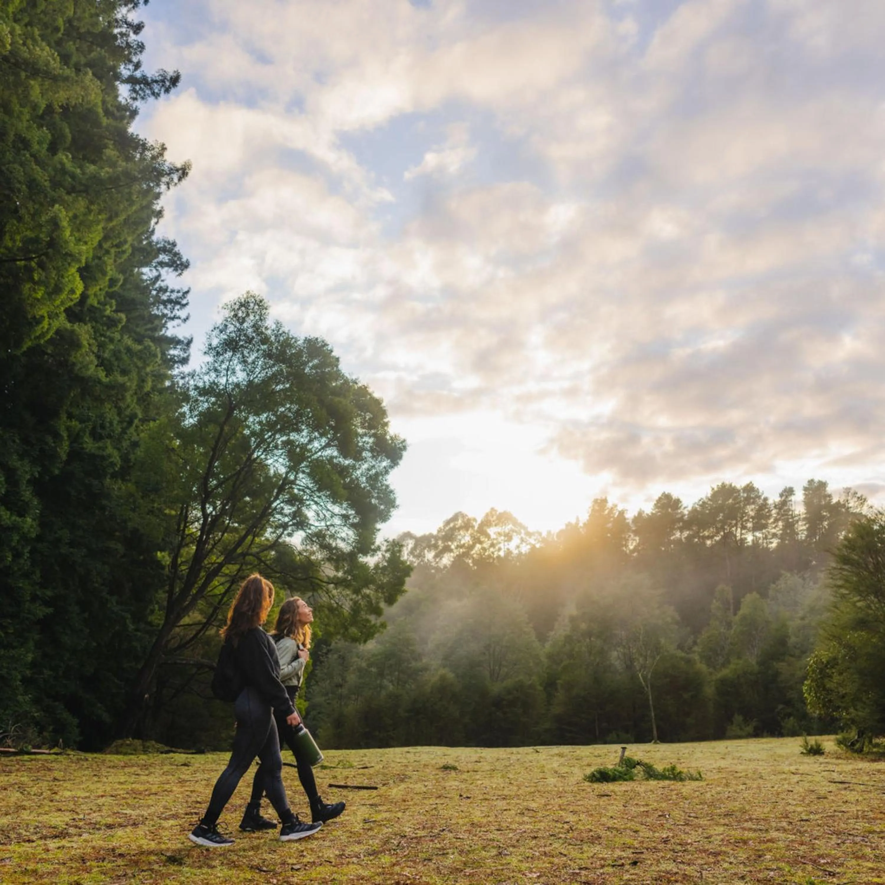 Alpine Hotel, Eat Drink Sleep
