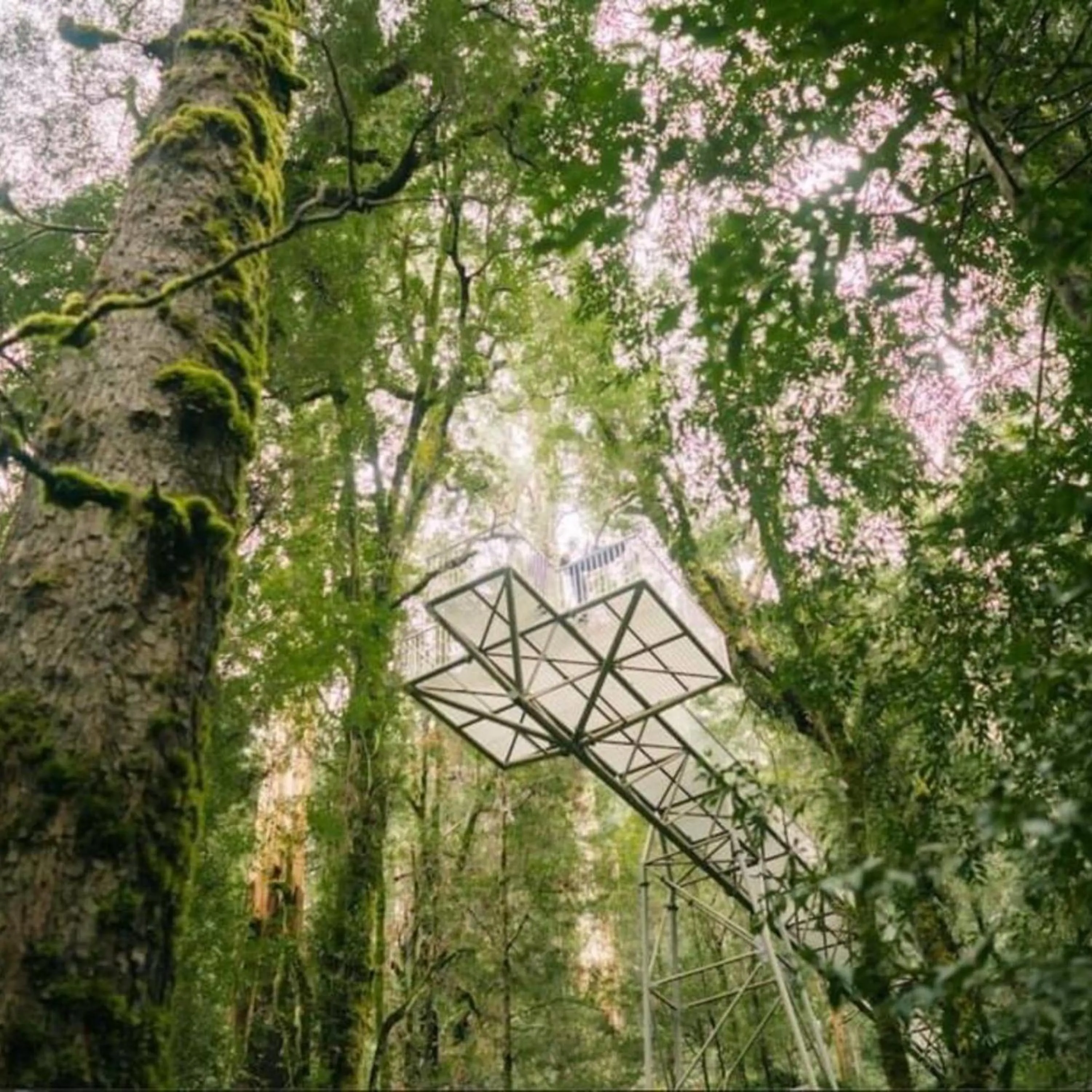 Alpine Hotel, Eat Drink Sleep