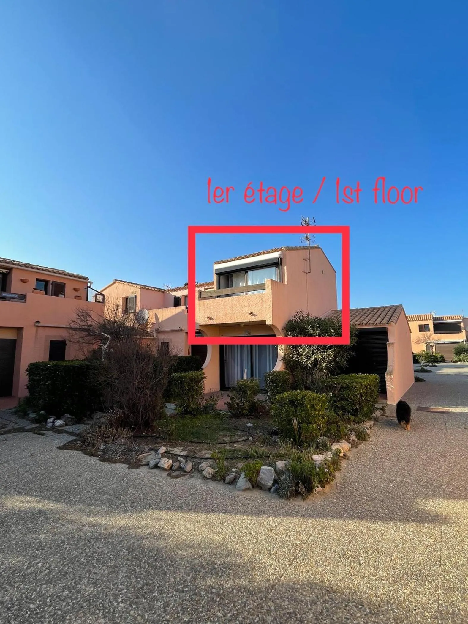 746 Aphrodite naturiste