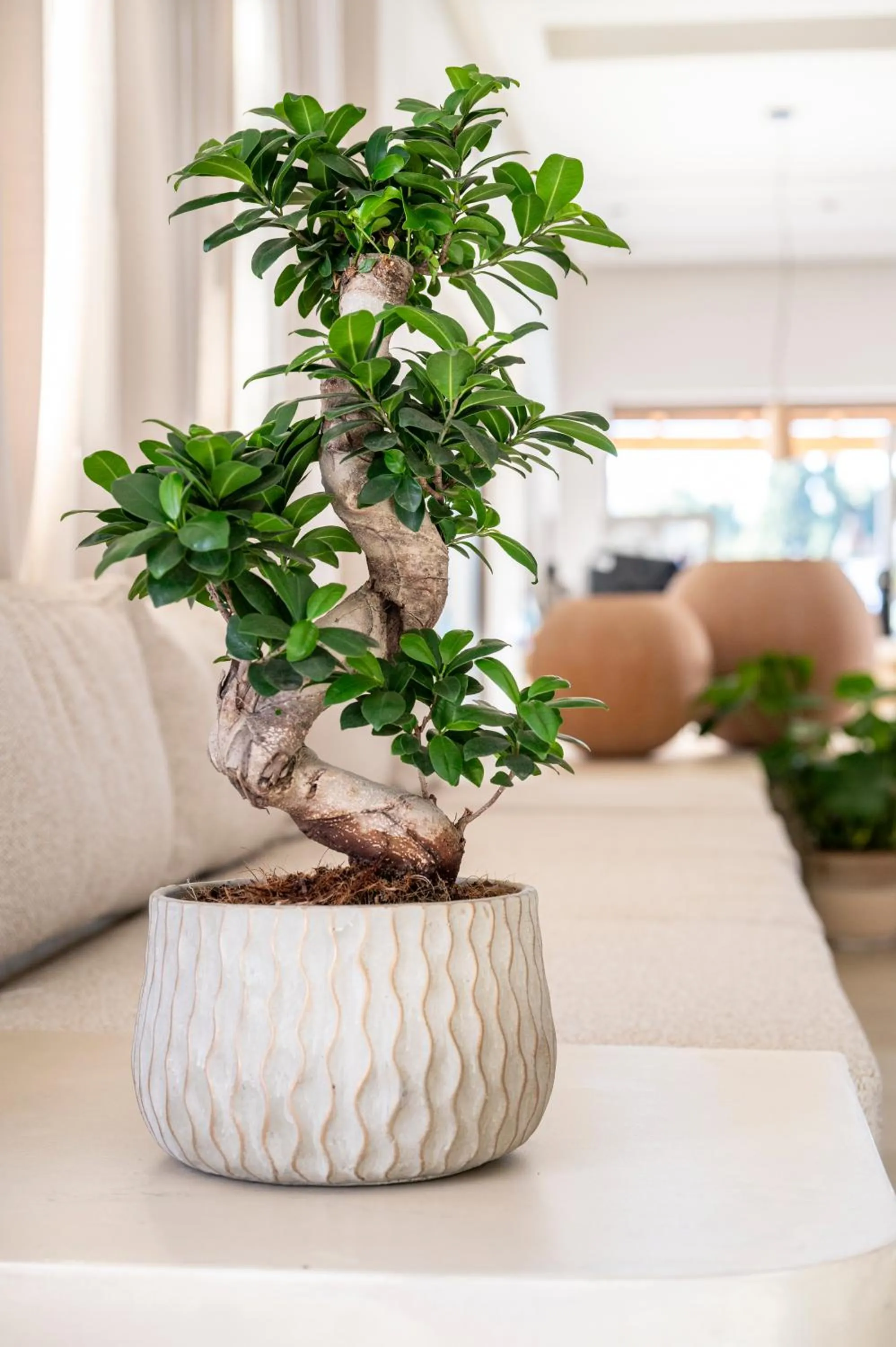 Lobby or reception in Aegean Houses