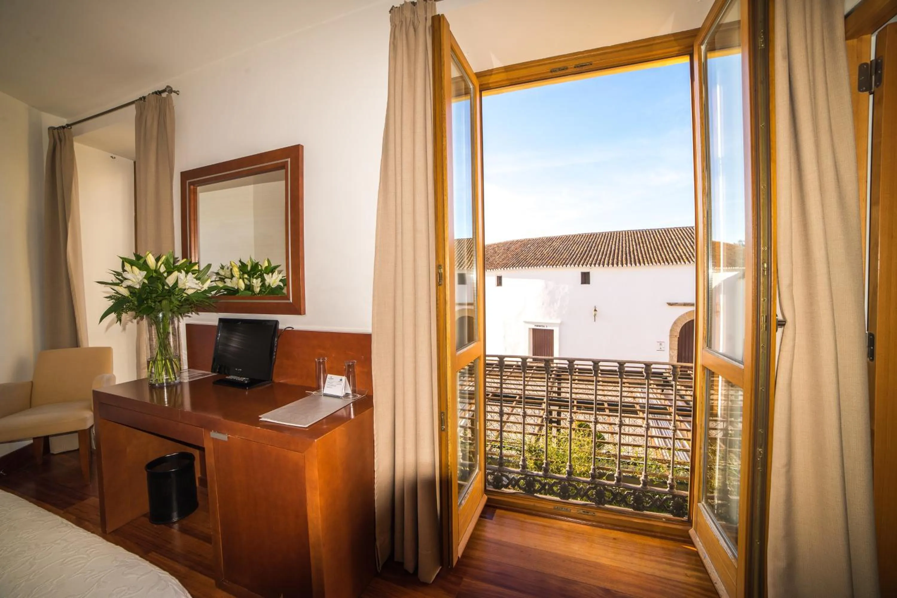 View (from property/room) in Acinipo