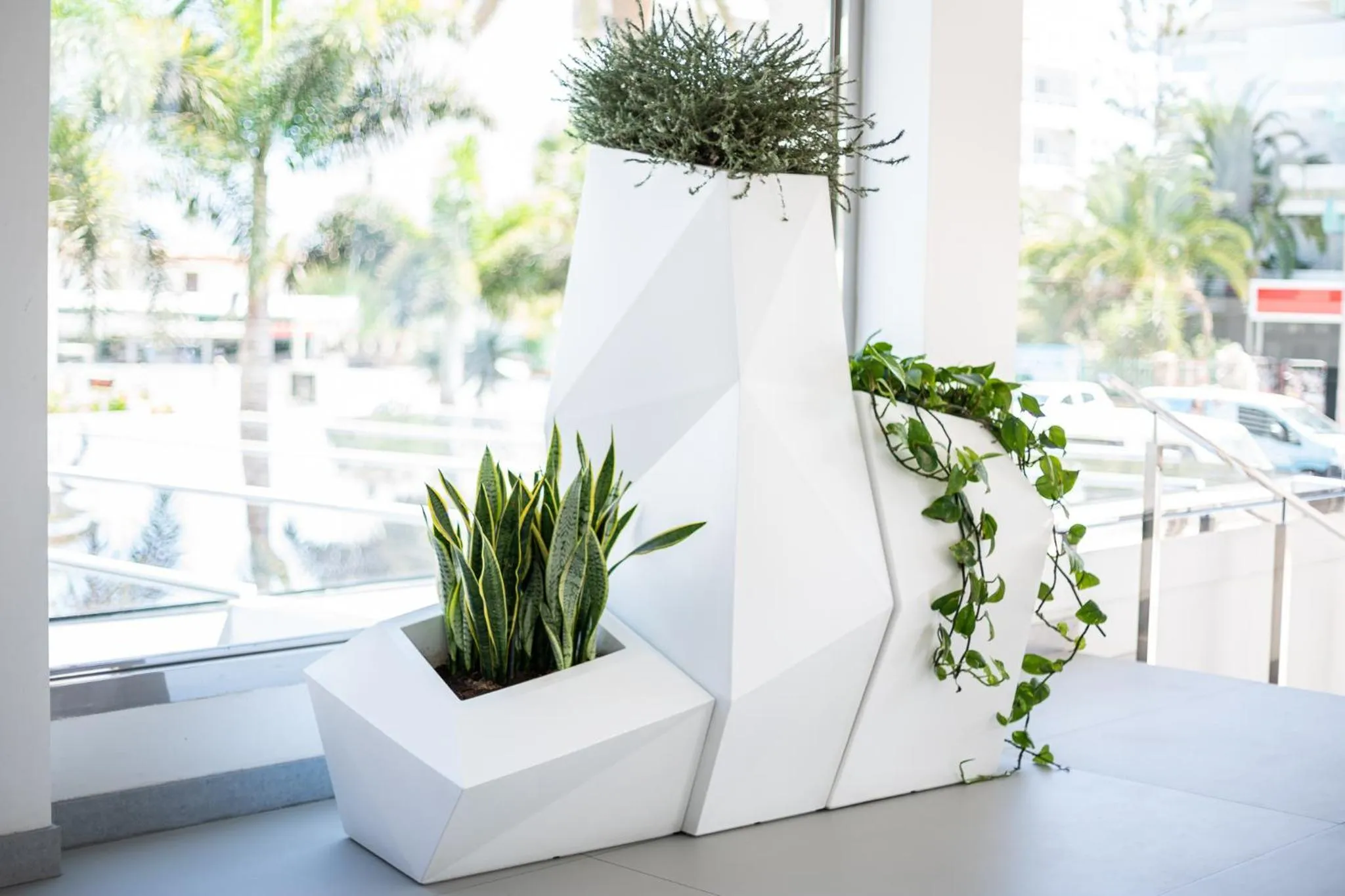 Garden in Hotel Caserio