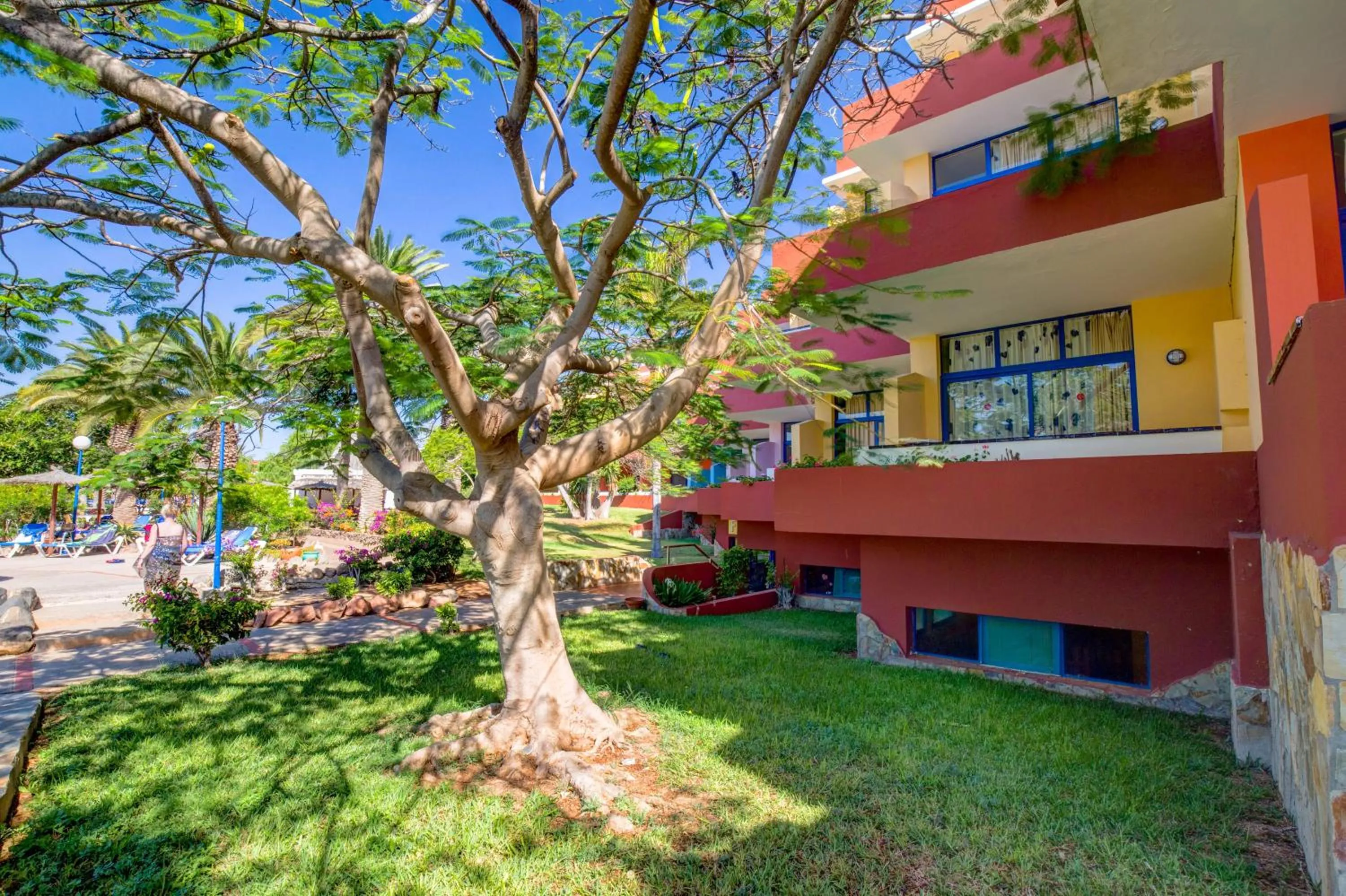 Garden view in SBH Fuerteventura Playa
