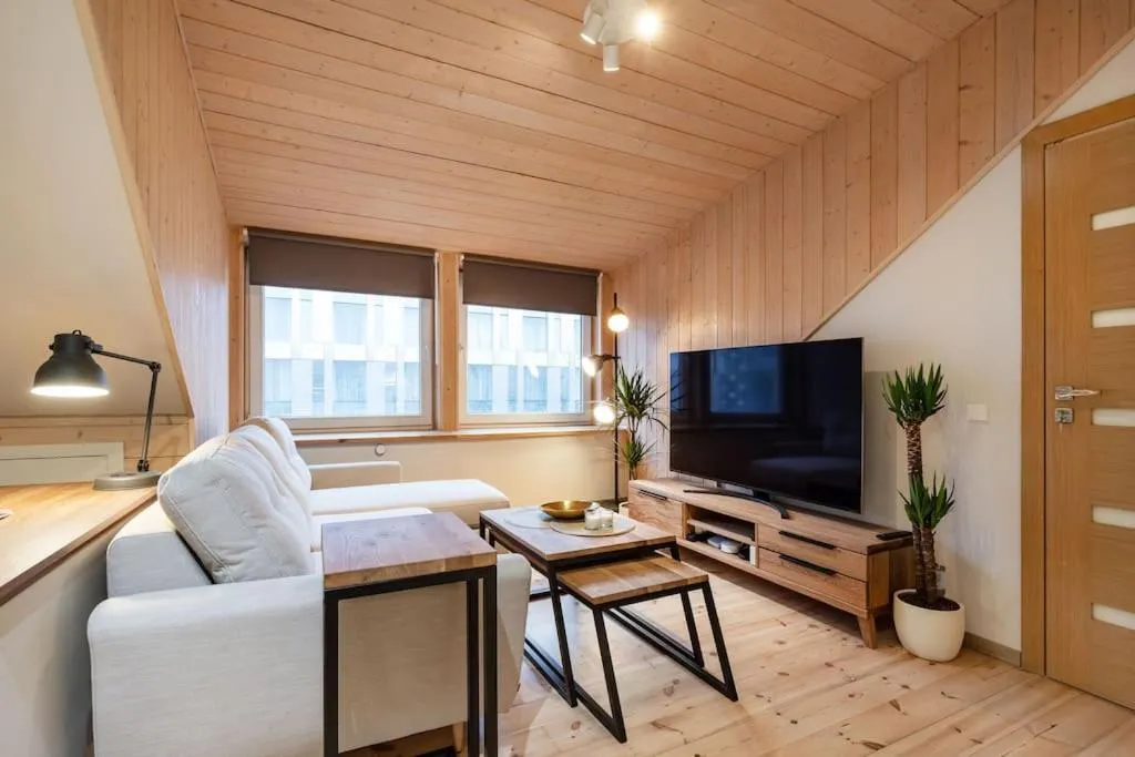 TV and multimedia in Luxury apartment in Gedimino av.