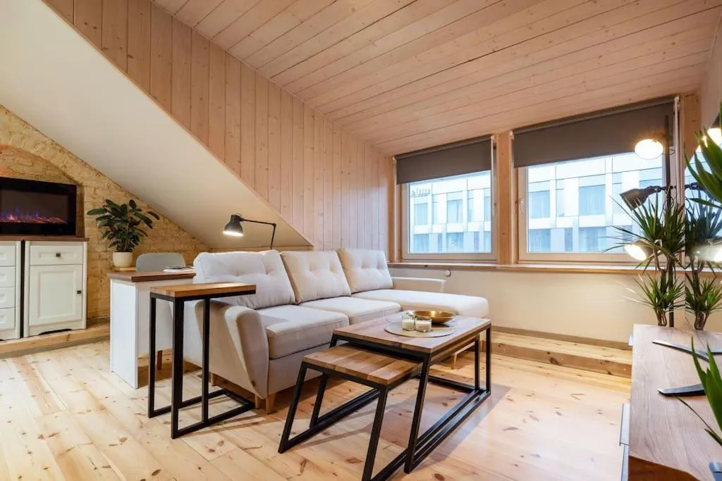 Living room in Luxury apartment in Gedimino av.
