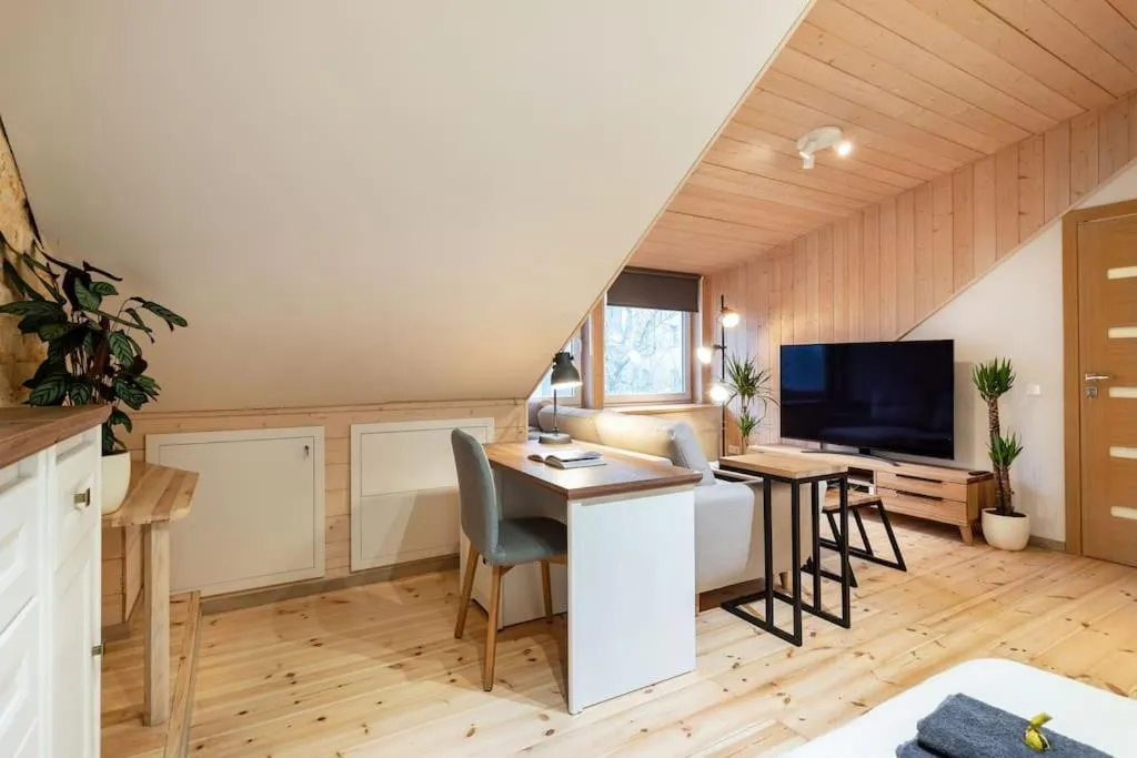 TV and multimedia in Luxury apartment in Gedimino av.