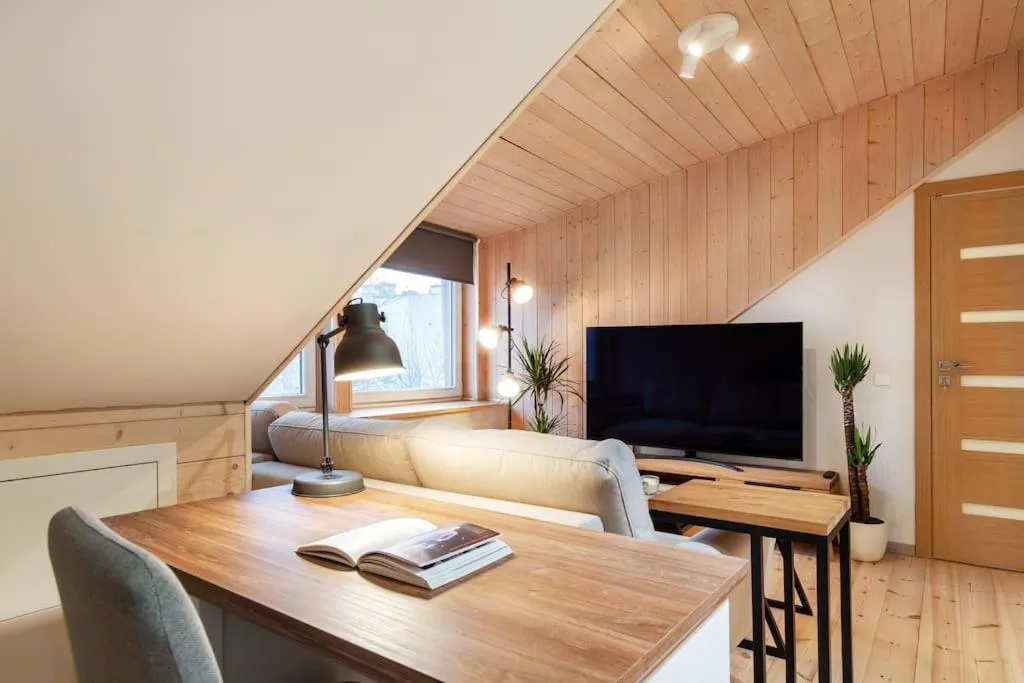 TV and multimedia, Bed in Luxury apartment in Gedimino av.